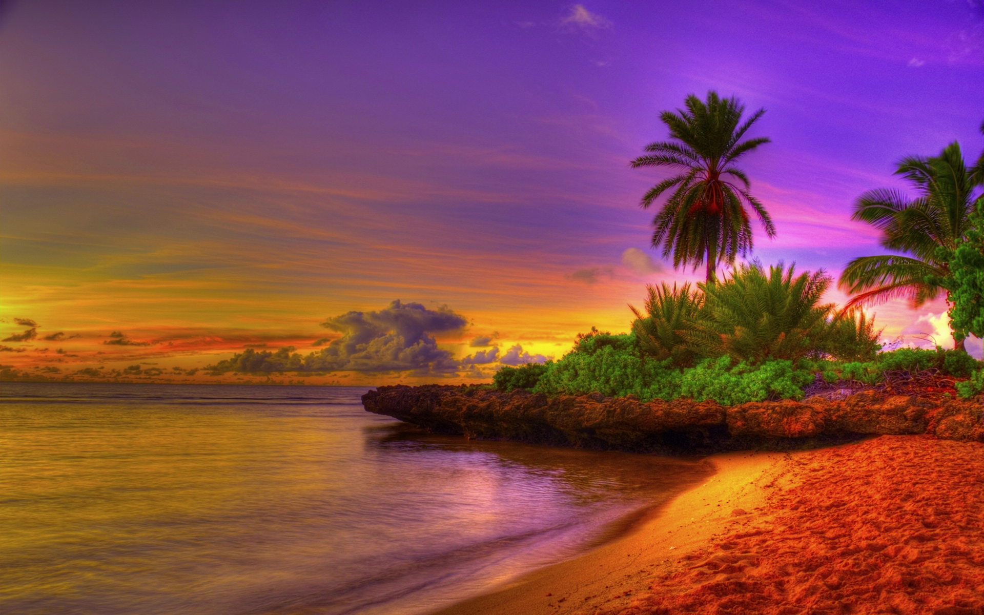 Summer Exotic Beach Background | Gallery Yopriceville - High-Quality