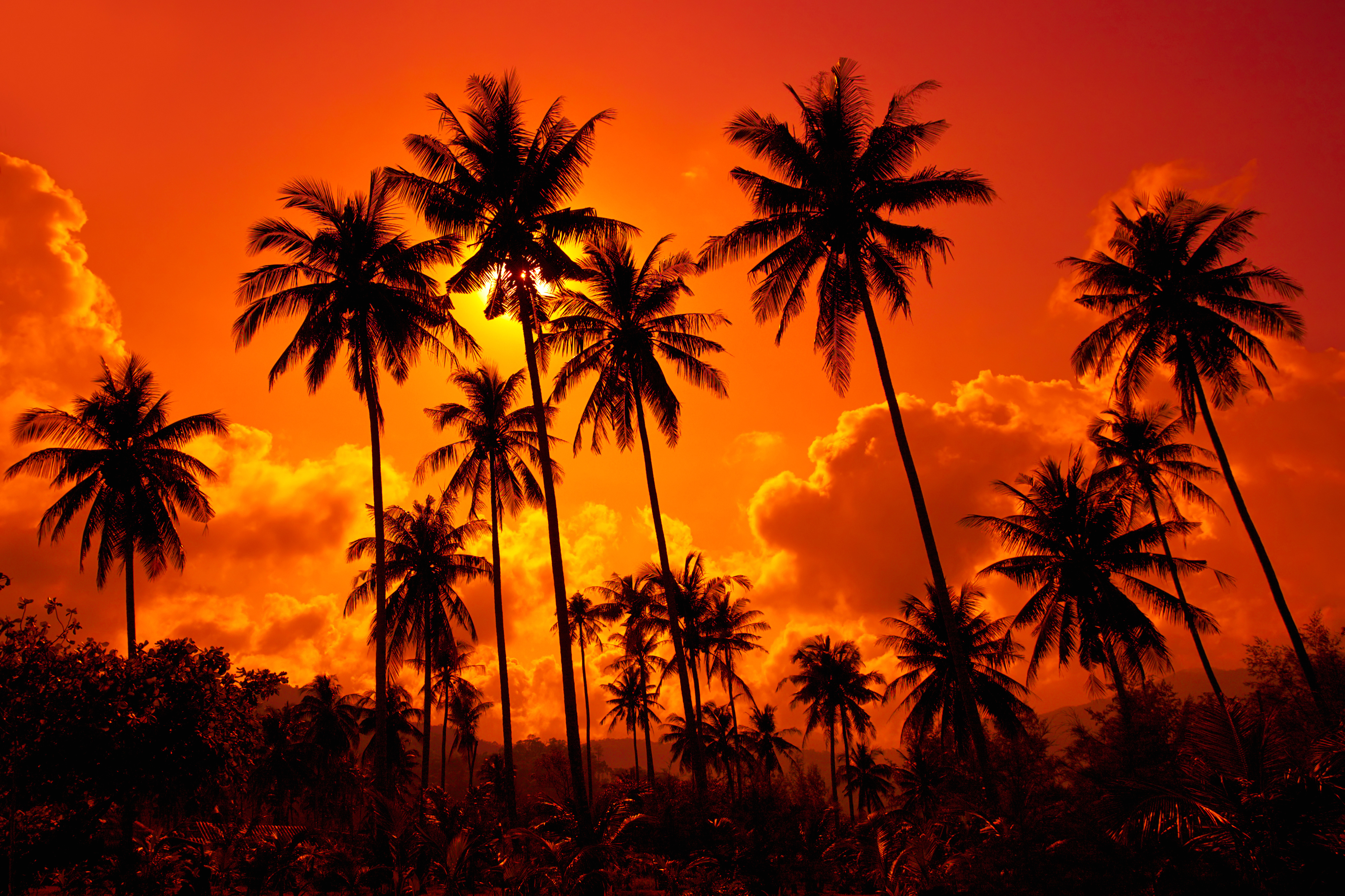 Download Tropical Sunset Background Gallery Yopriceville High Quality Images And Transparent Png Free Clipart