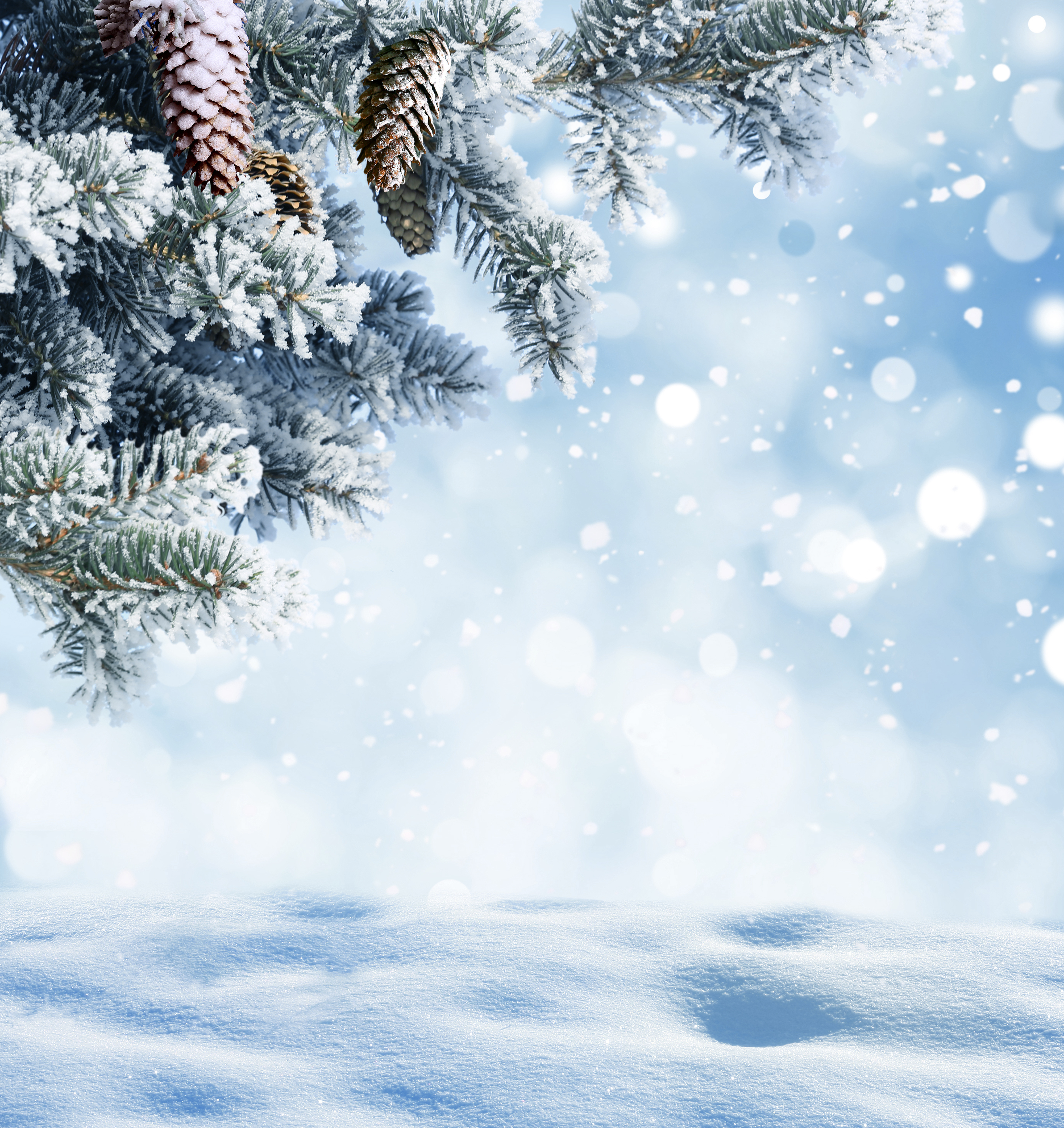 3,897,341 Winter Background Stock Photos - Free & Royalty-Free