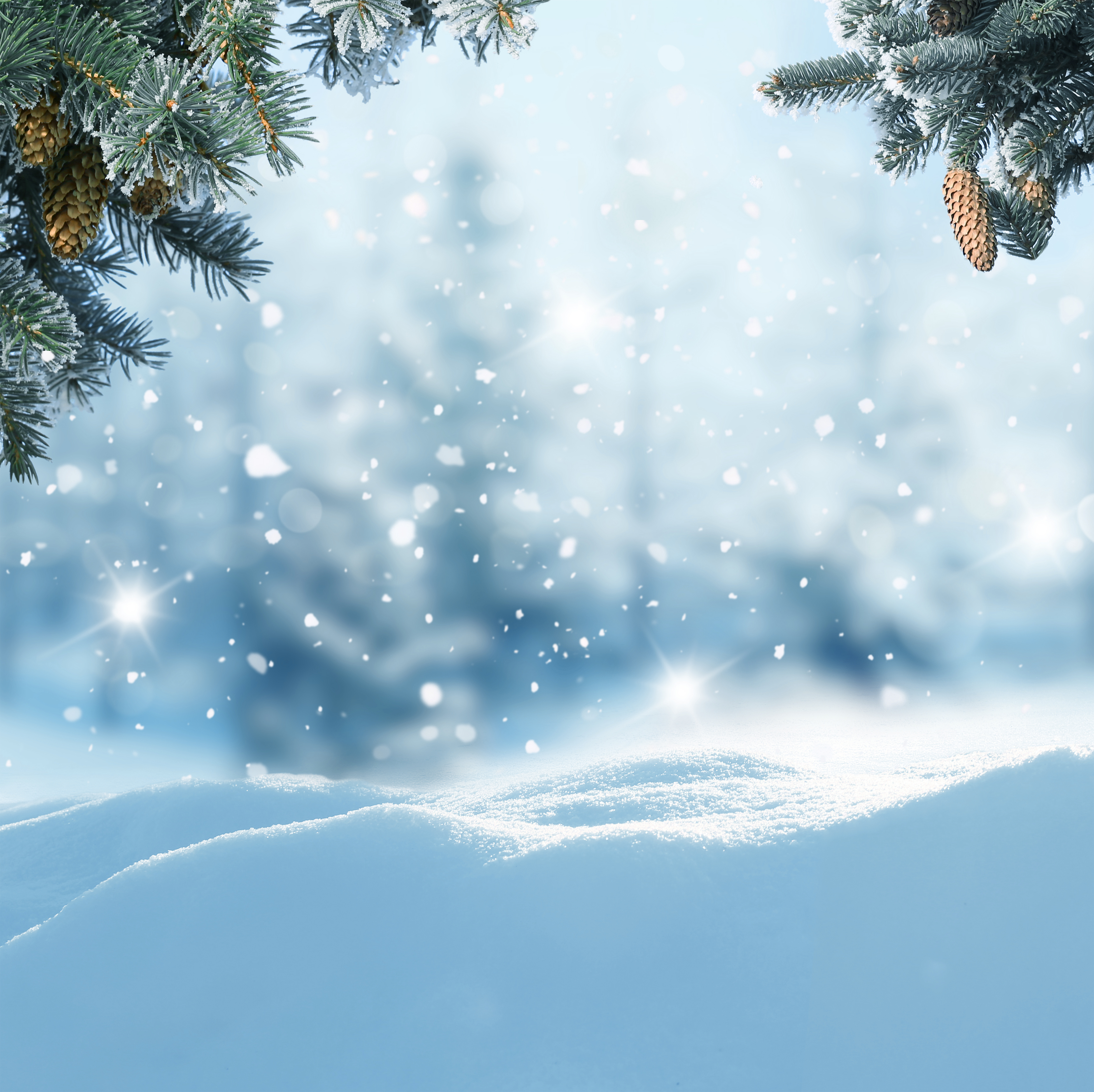 Winter Snowy Background With Pine Branches Gallery Yopriceville High Quality Images And Transparent Png Free Clipart
