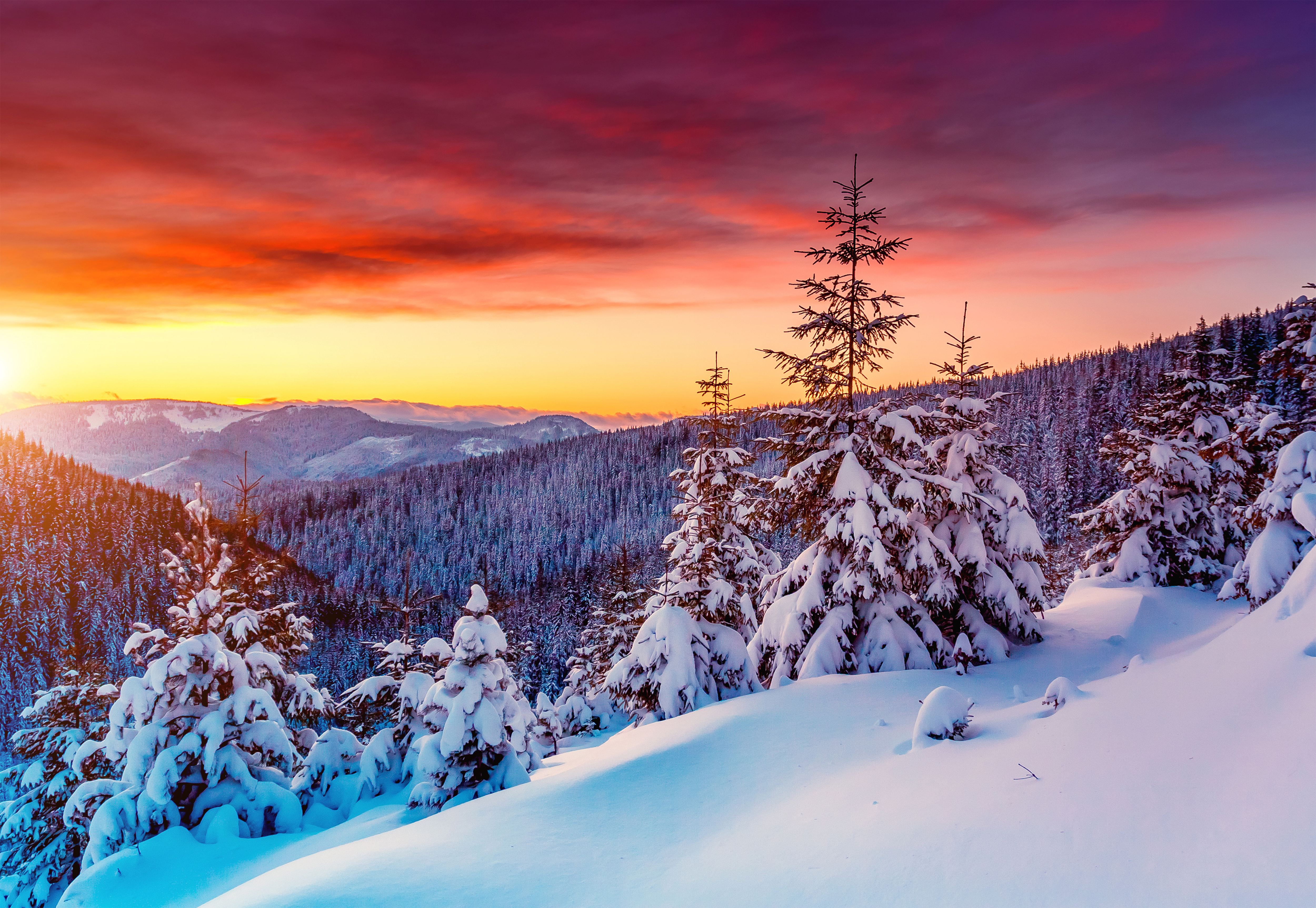 winter snow sunset wallpaper