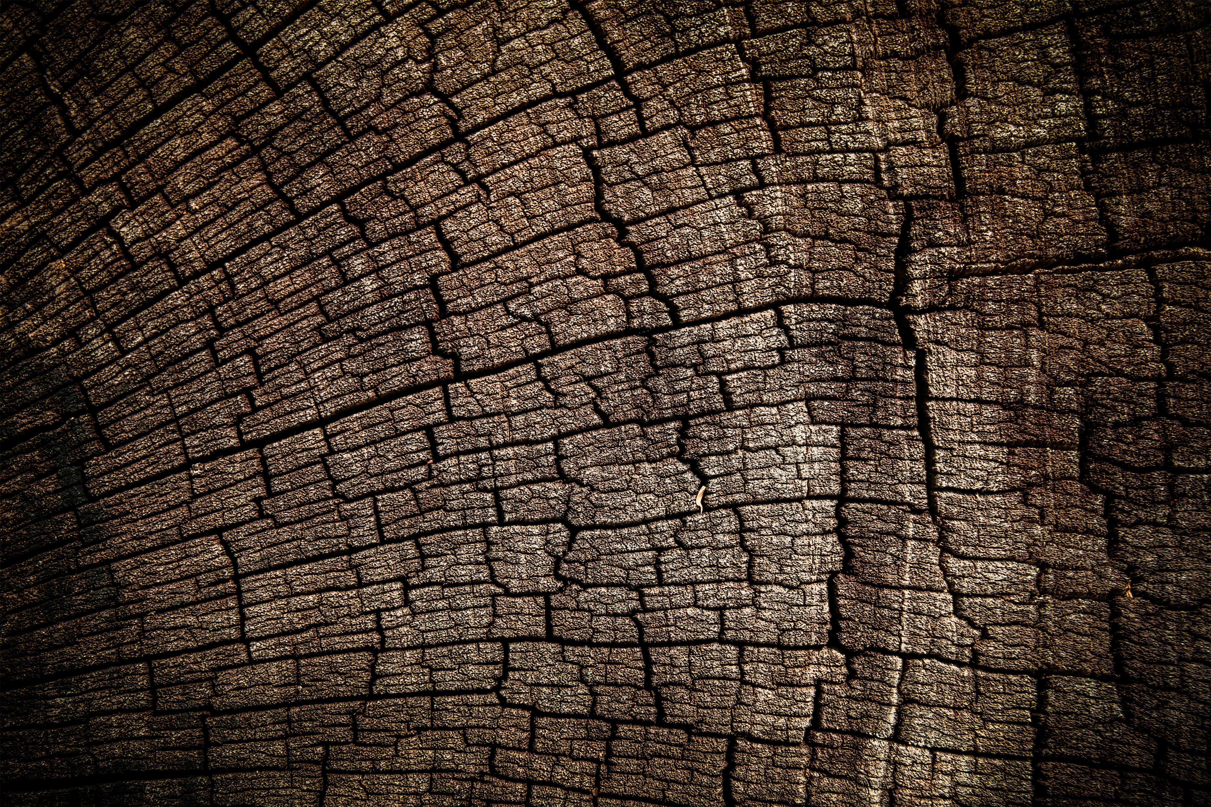 Wooden Texture Background​ | Gallery Yopriceville - High-Quality Free  Images and Transparent PNG Clipart