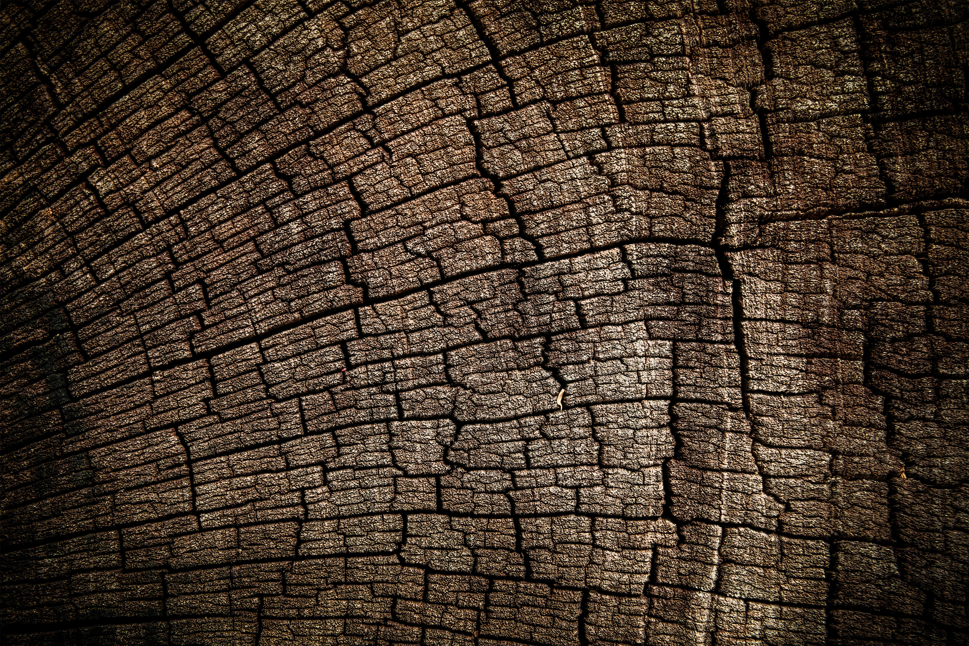 wooden texture background gallery yopriceville high quality