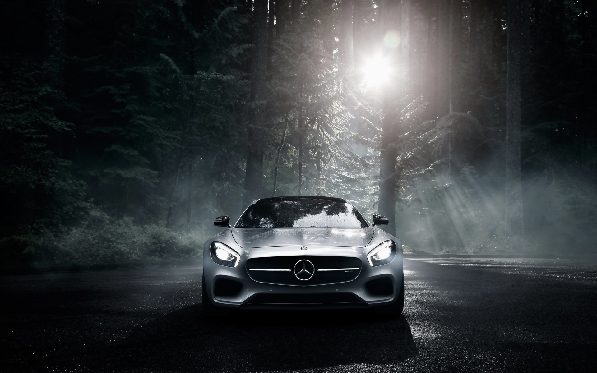 Download 4k Mercedes-benz With Trees Wallpaper | Wallpapers.com