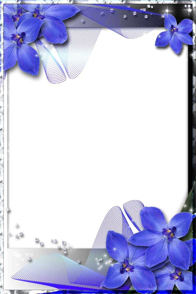 Beautiful Transparent Frame with Blue Orchids  Gallery 