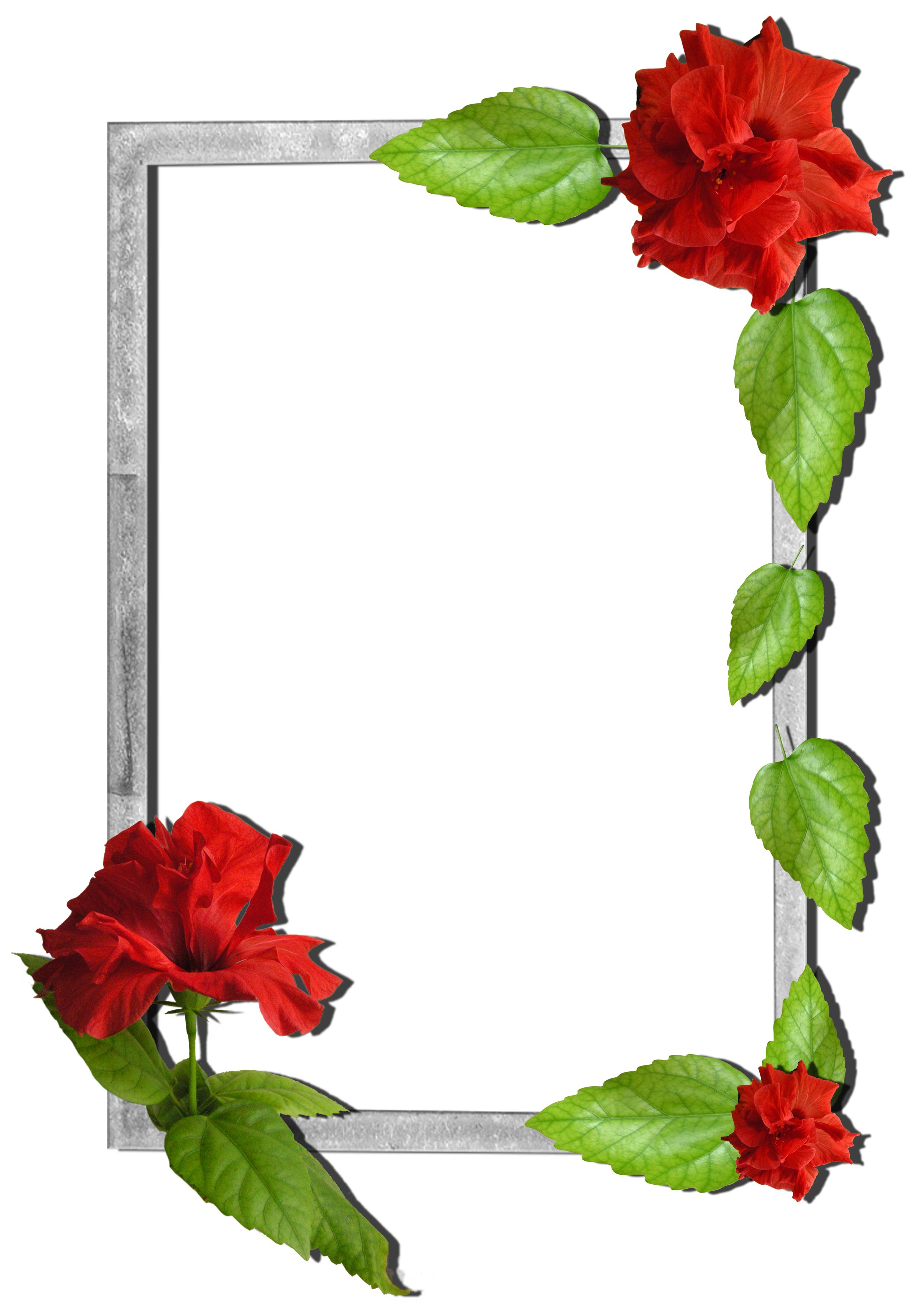 Flowers Frame 7 Gallery Yopriceville High Quality Images And Transparent Png Free Clipart Flowers Frame 7 Gallery Yopriceville High Quality Images And Transparent Png Free Clipart