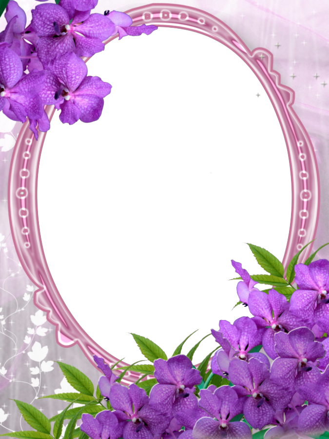 pink and purple flower border