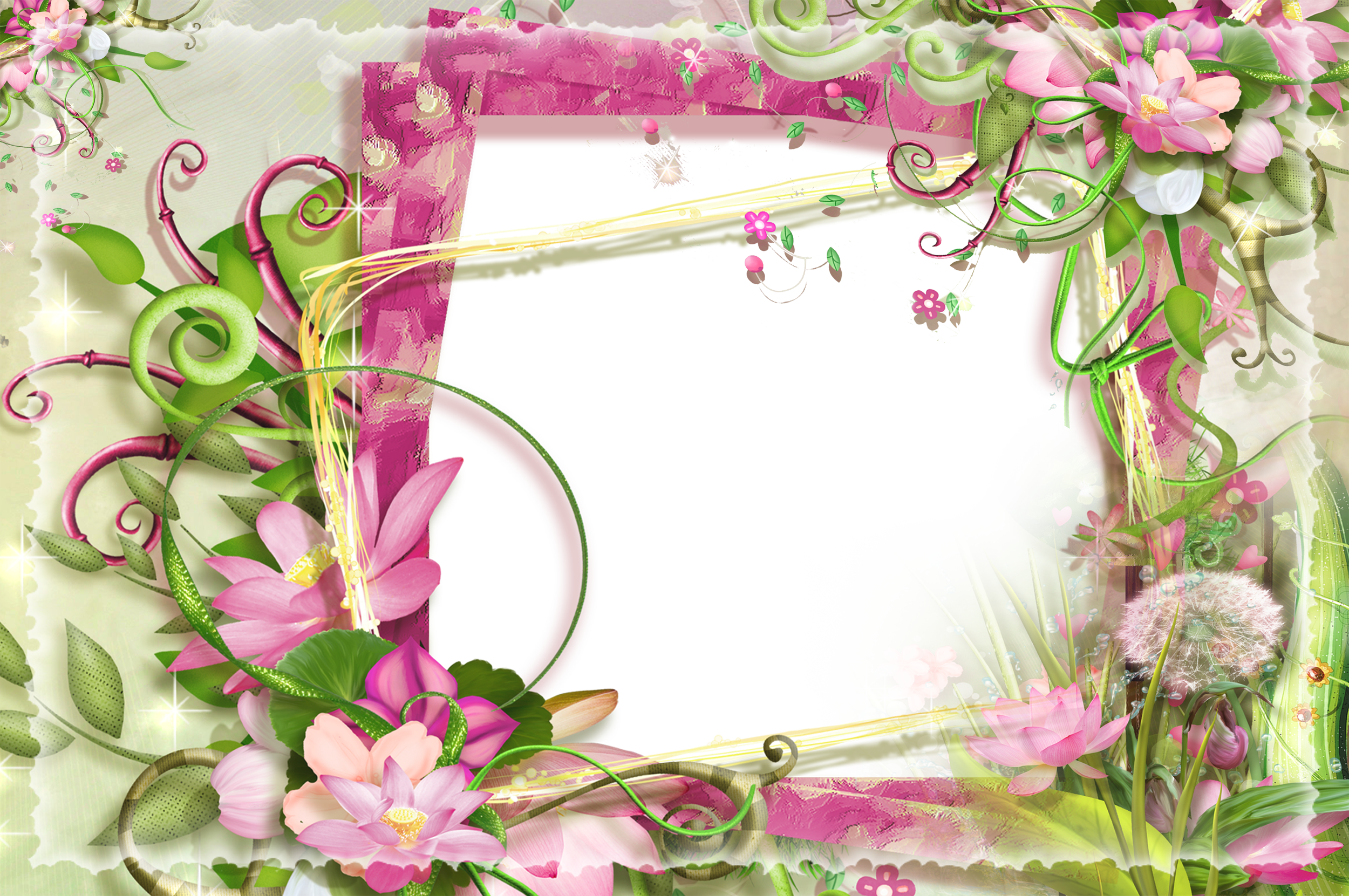 Pink And Green Flowers Png Frame Gallery Yopriceville High View Full Size