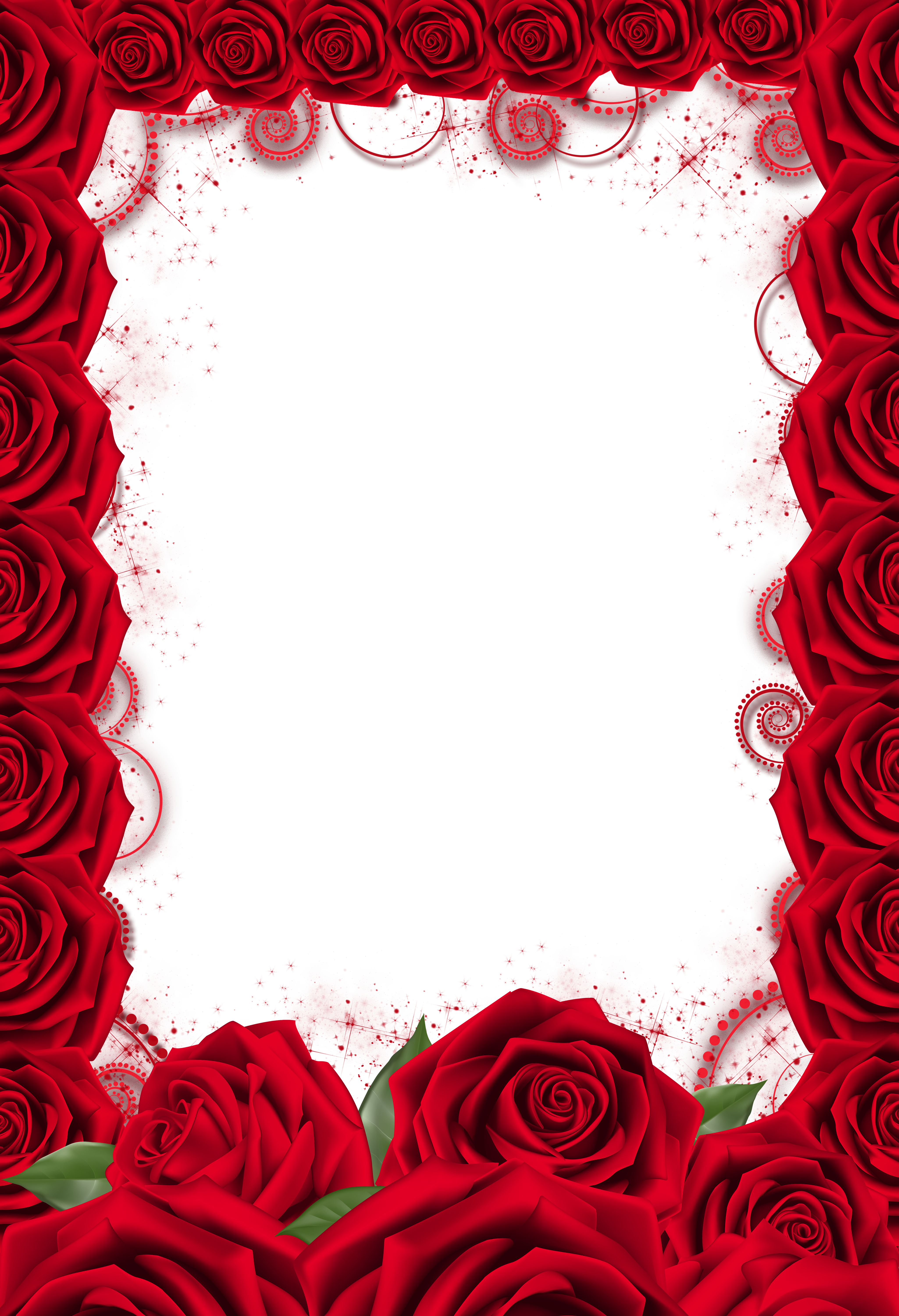 Red Rose Transparent PNG Frame | Gallery Yopriceville - High-Quality