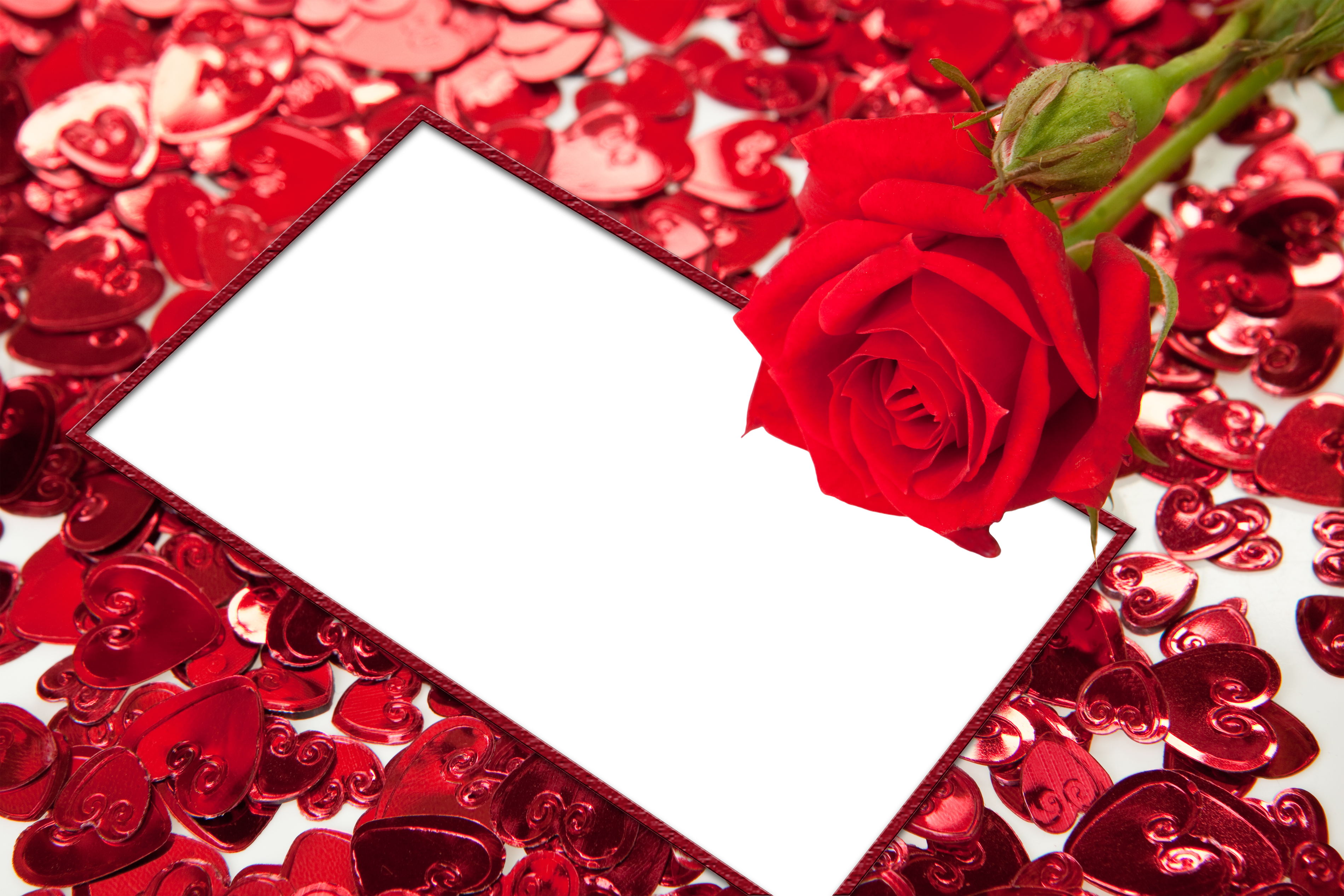 red roses and hearts