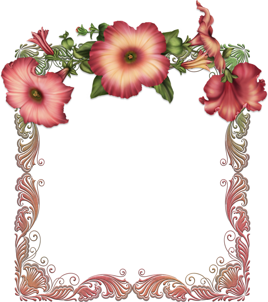 red flower borders and frames