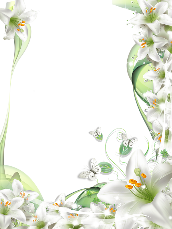 Transparent PNG Photo Frame with White Lilies Flowers​