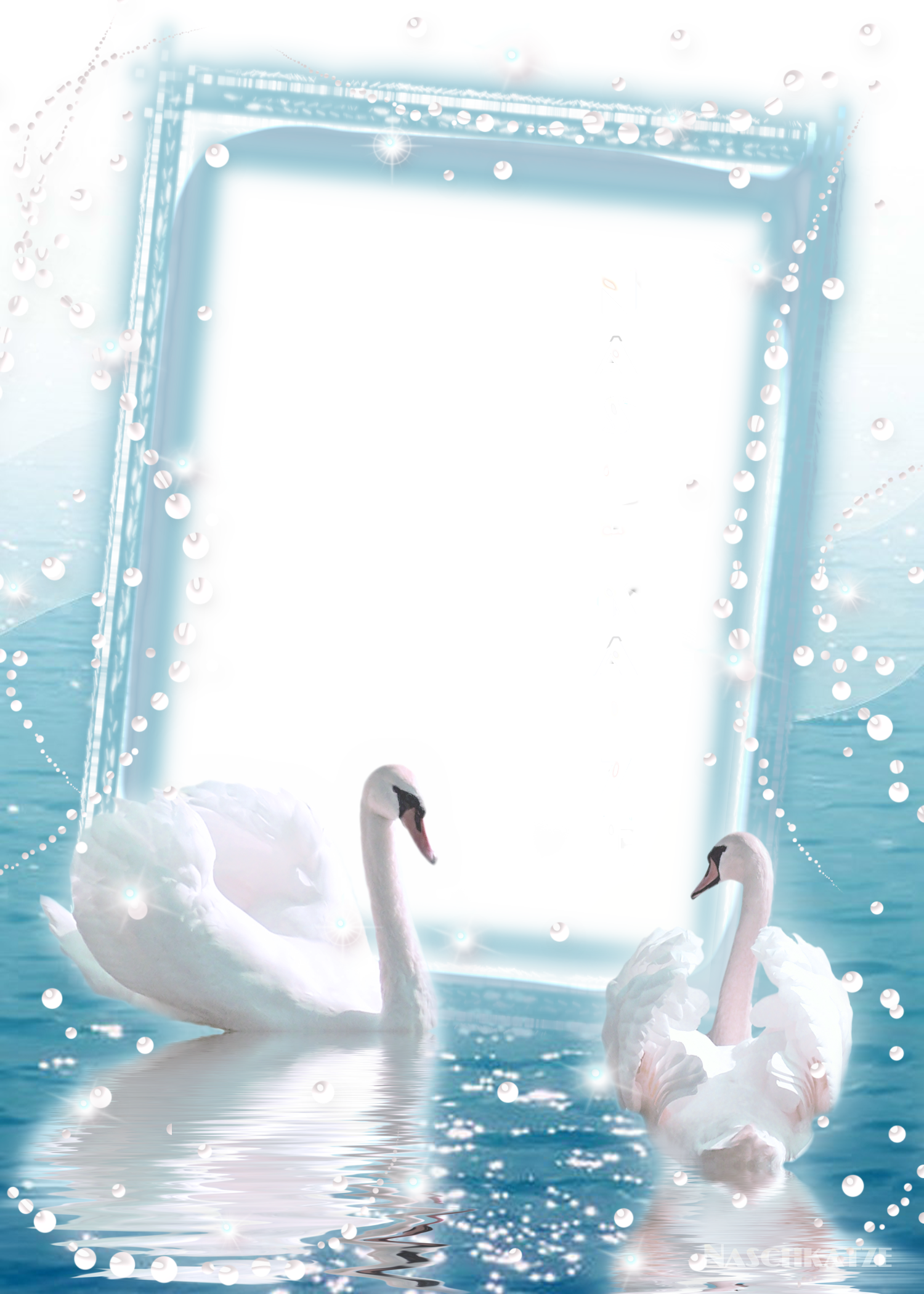 Transparent Photo Frame with two Swans | Gallery Yopriceville - High