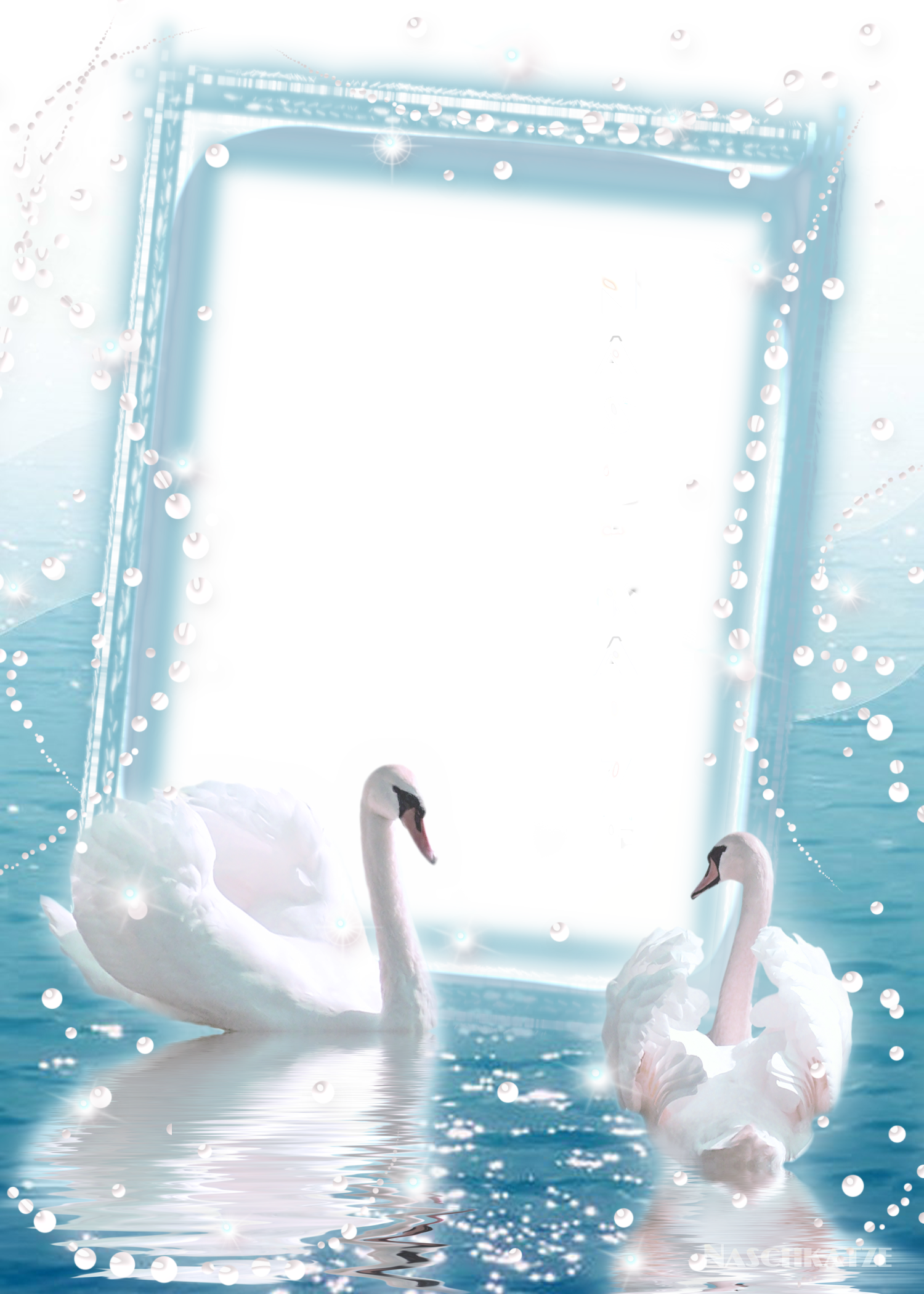 two swan clipart