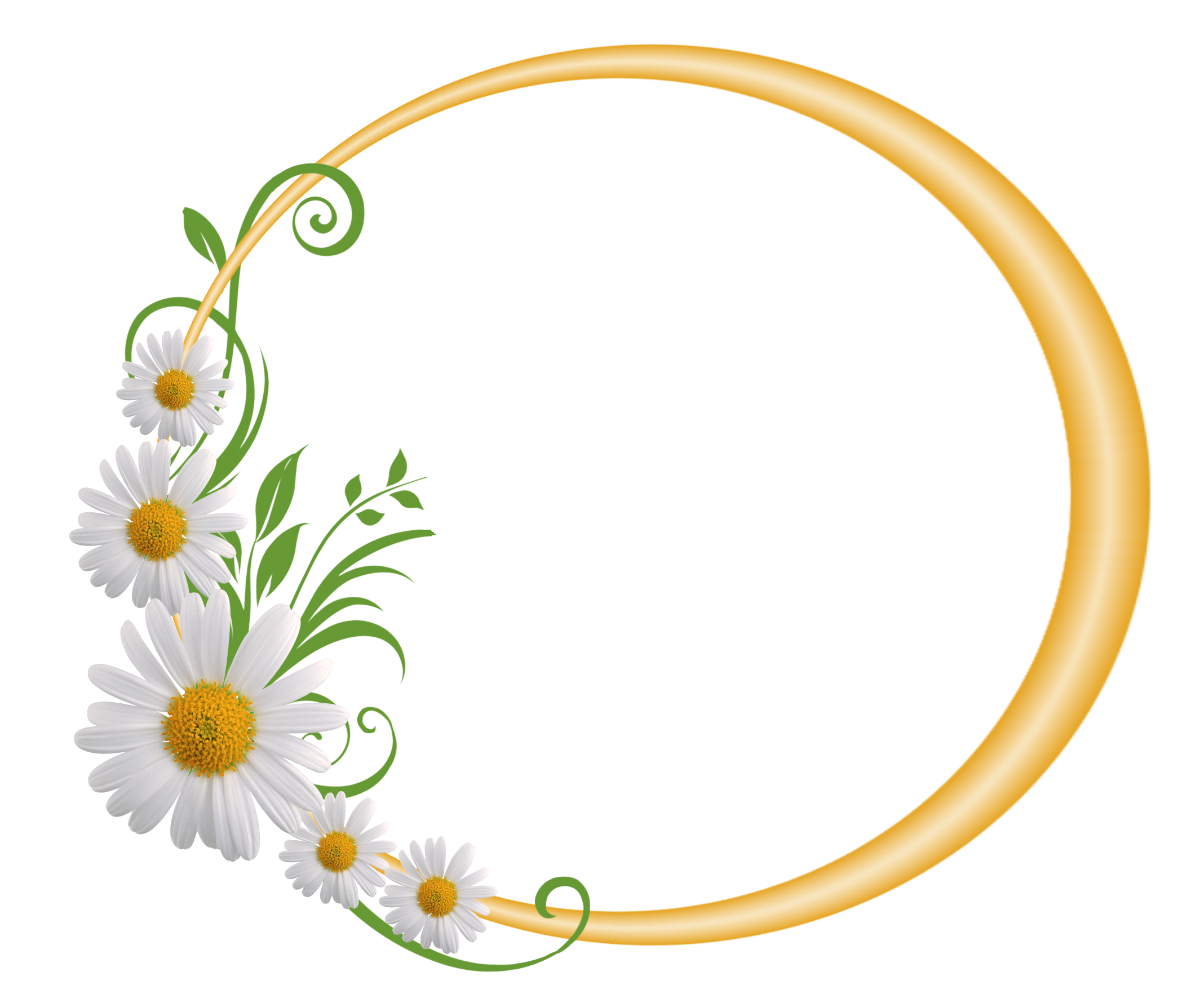 Yellow Round Frame with Daisies | Gallery Yopriceville - High-Quality