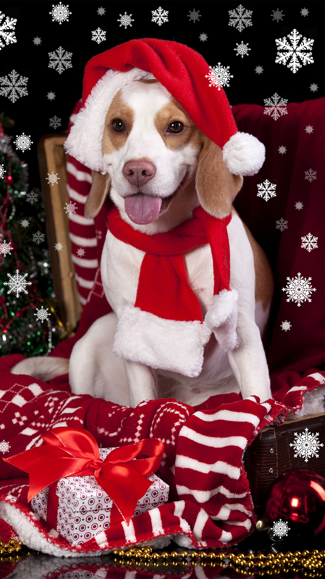 dog with santa hat clipart jpeg