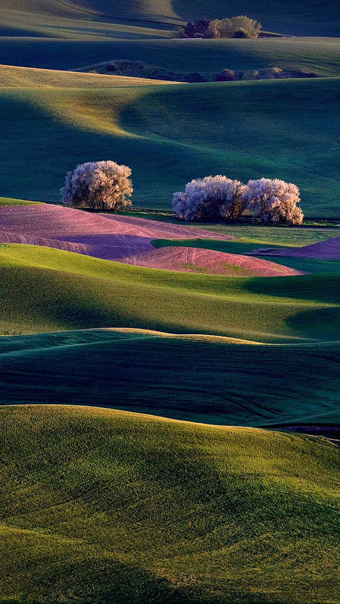 Colorful Valley Full Hd Smartphone Wallpaper Gallery Yopriceville High Quality Images And Transparent Png Free Clipart Colorful Valley Full Hd Smartphone Wallpaper Gallery Yopriceville High Quality Images And Transparent Png Free Clipart