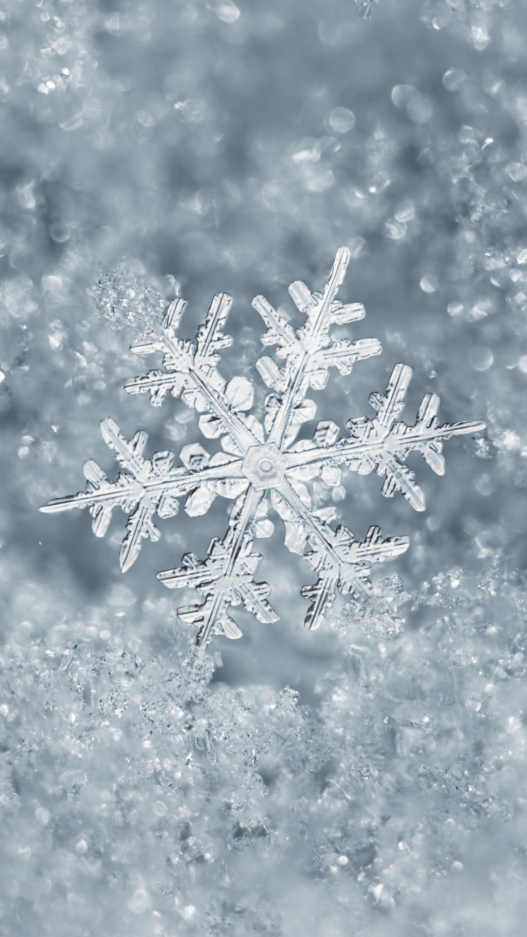 Ice Snowflake iPhone 7 Plus Wallpaper | Gallery Yopriceville - High-Quality Images and ...