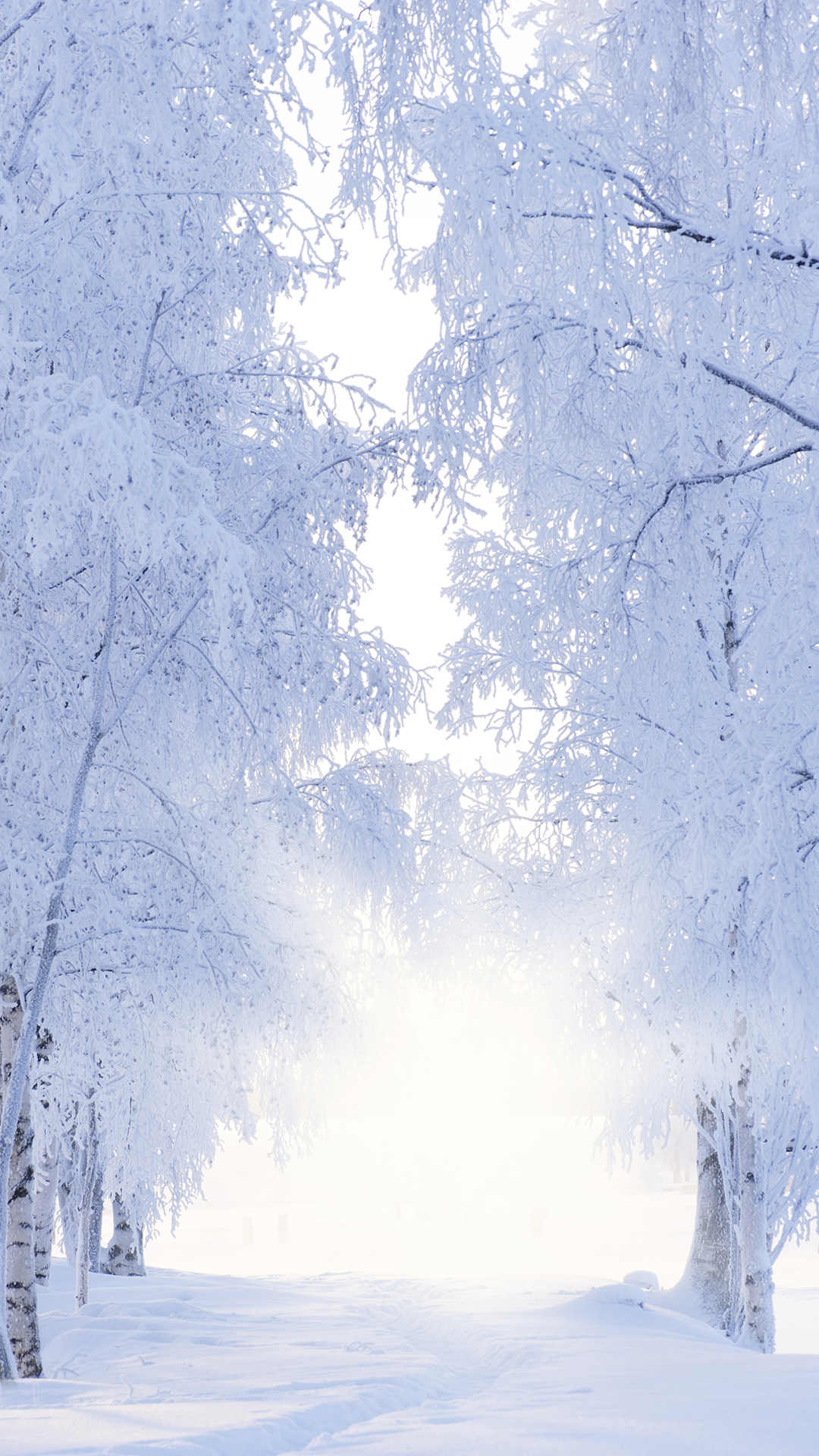 Winter Iphone 6s Plus Wallpaper Gallery Yopriceville High Quality Images And Transparent Png Free Clipart