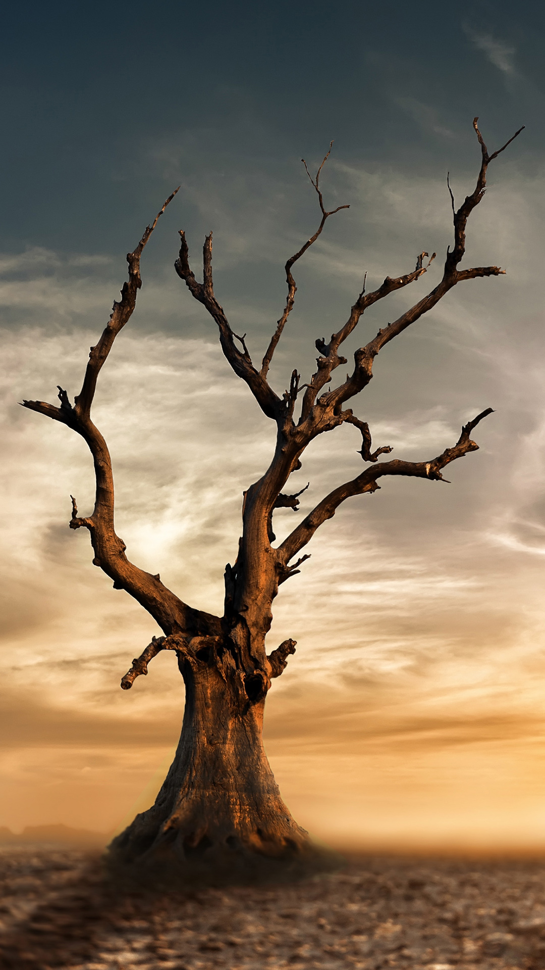 iPhone 6S Plus Desert Tree Wallpaper | Gallery Yopriceville - High-Quality Free Images and Transparent PNG Clipart iPhone 6S Plus Desert Tree Wallpaper | Gallery Yopriceville - High-Quality Free Images and Transparent PNG Clipart