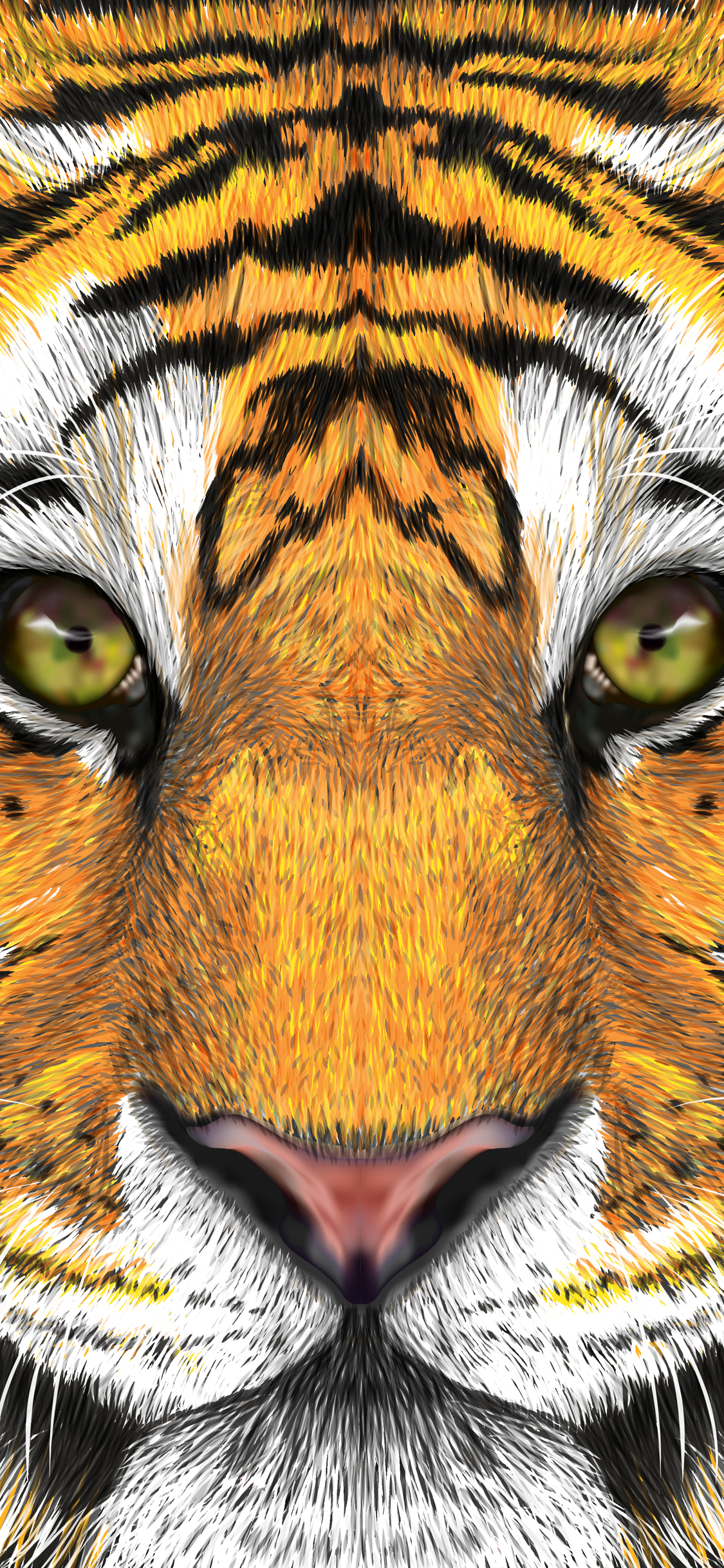 Bengal Tiger Background - High-quality Free Backgrounds