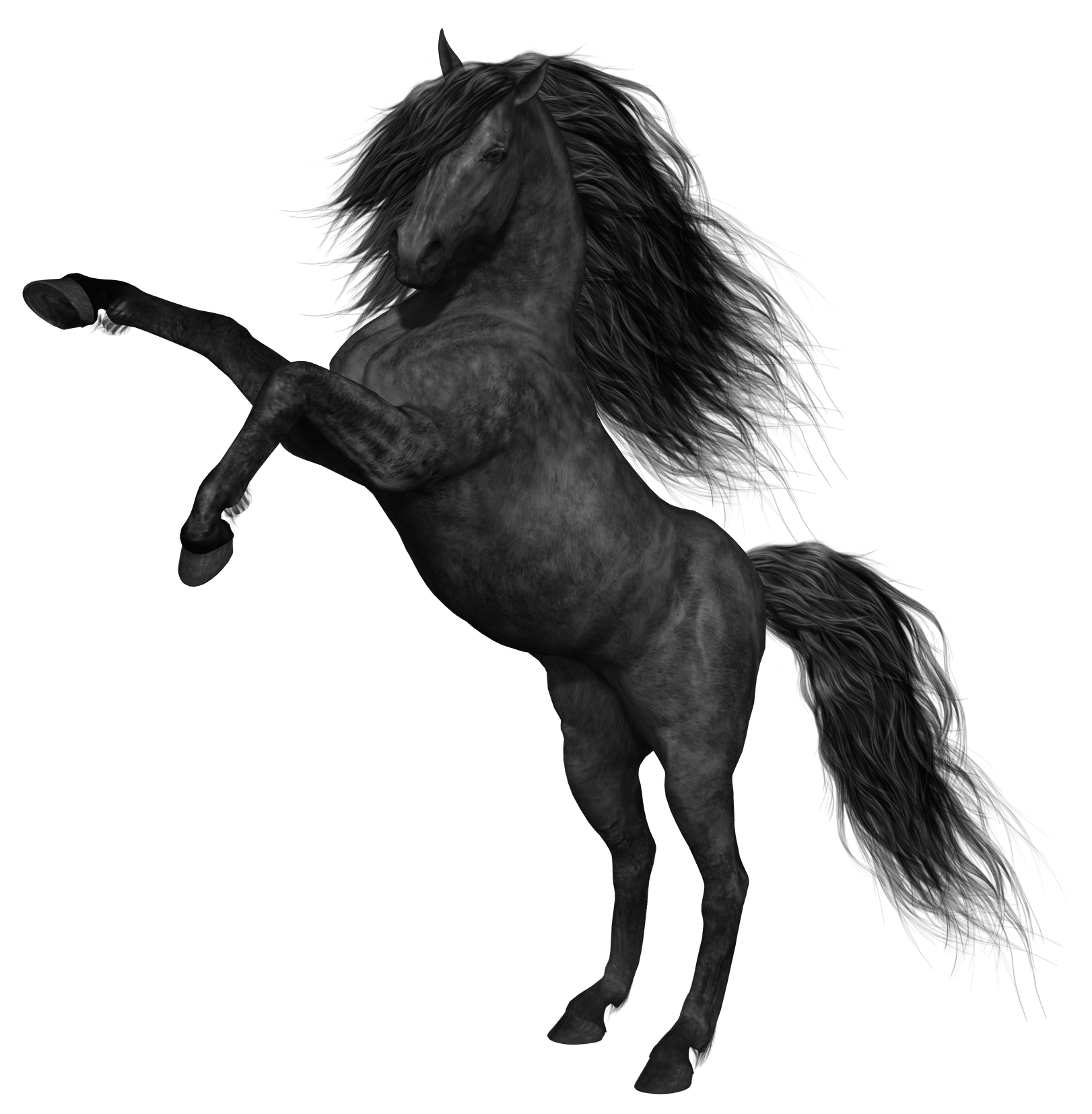 Black Horse PNG Picture​ | Gallery Yopriceville - High-Quality Free Images  and Transparent PNG Clipart
