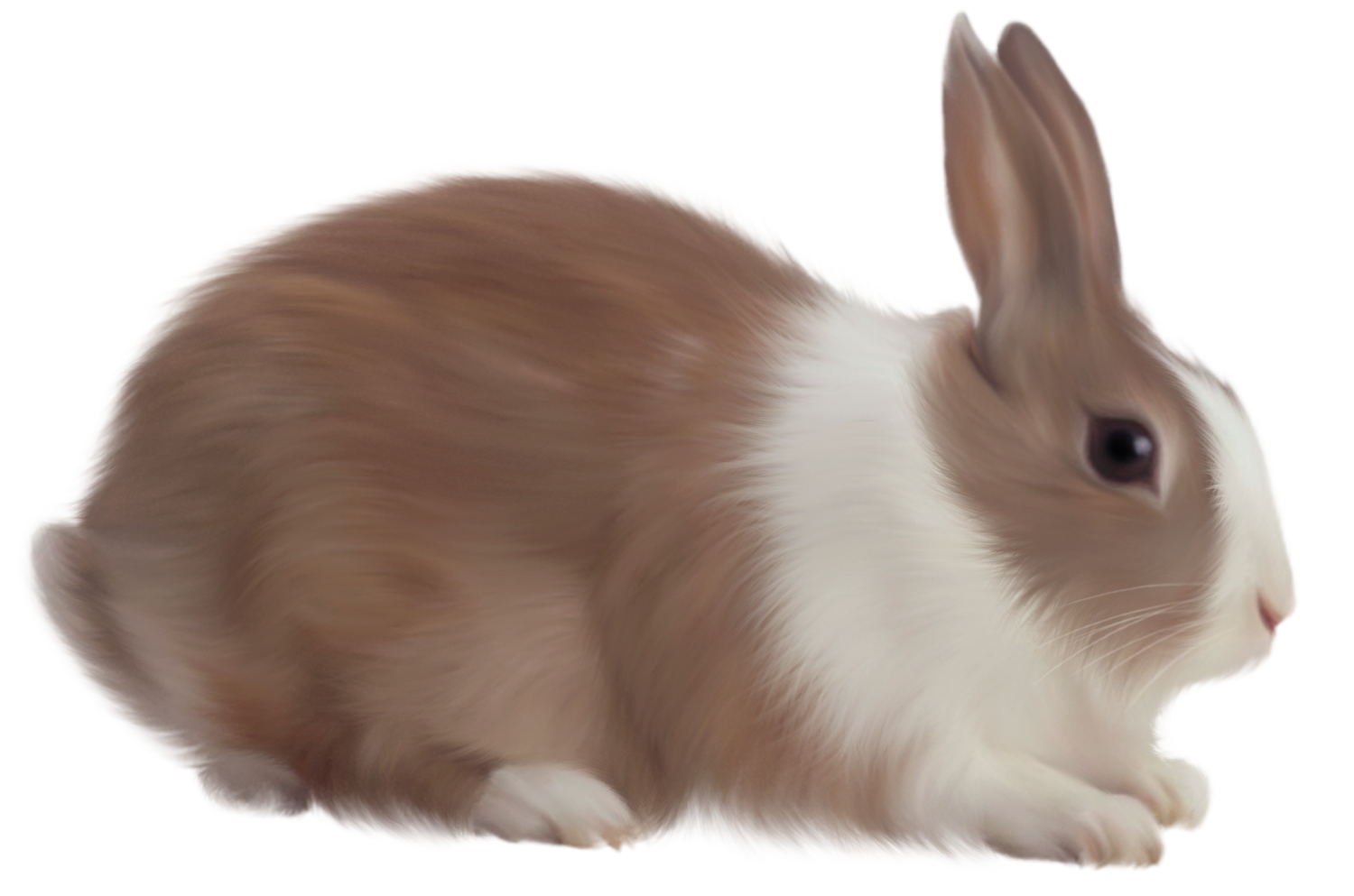 Brown Rabbit Free Clipart​ | Gallery Yopriceville - High-Quality Free  Images and Transparent PNG Clipart