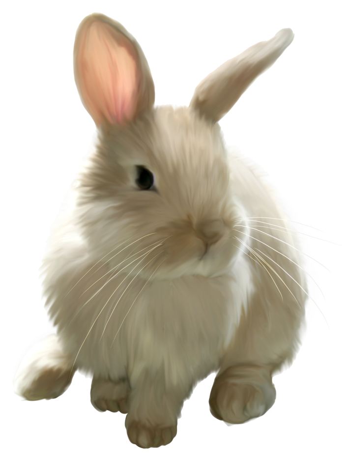 Cute Painted Bunny PNG Picture Clipart | Gallery Yopriceville - High