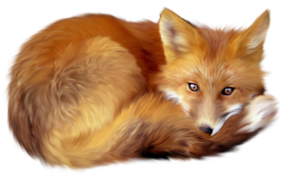 fox clipart