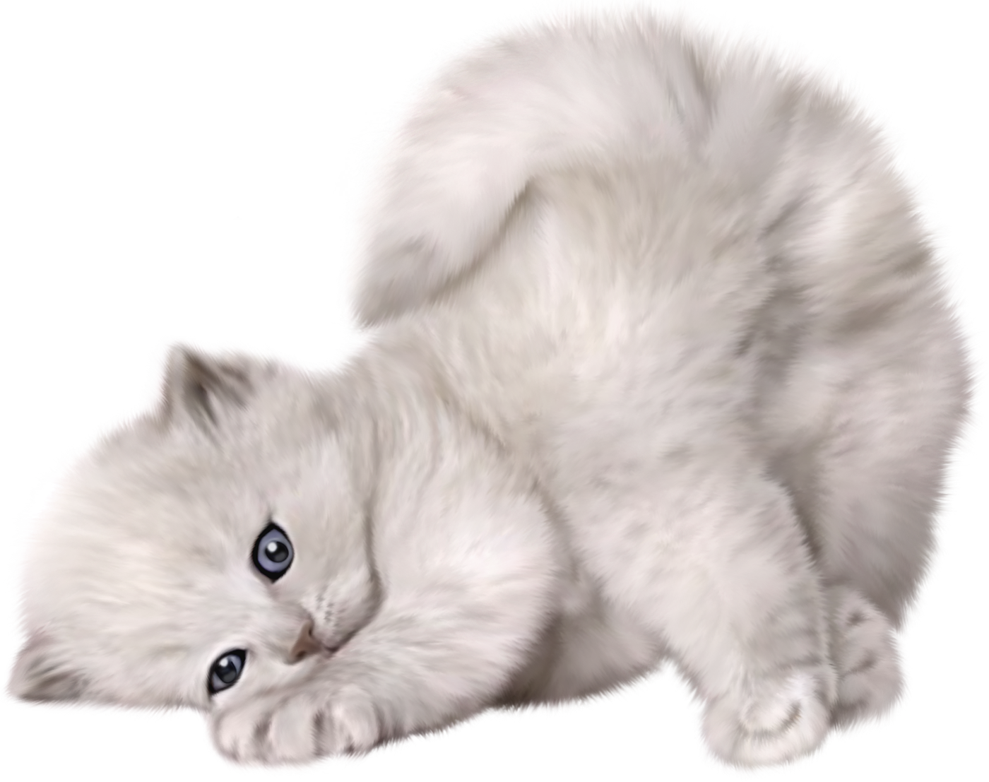 Cute cat png images