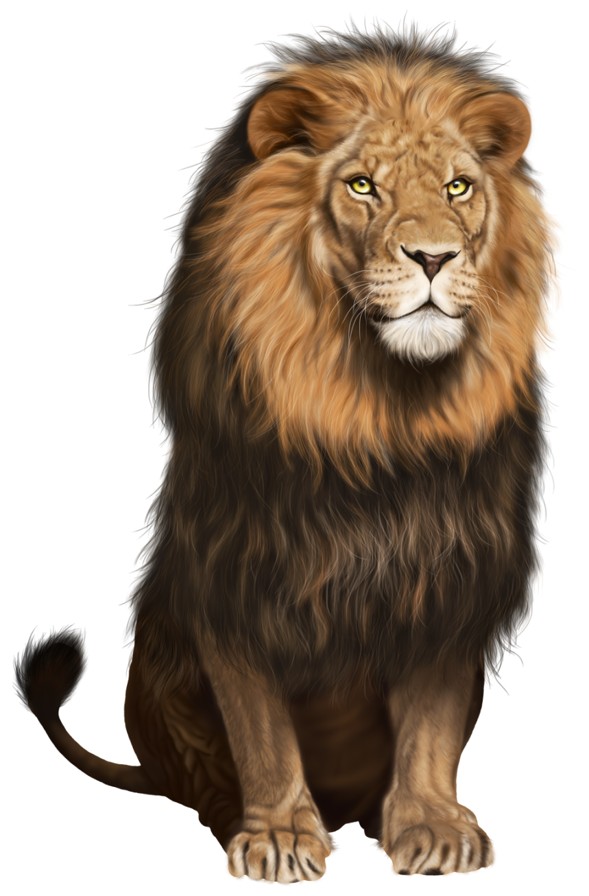 Lion Transparent PNG Clip Art Image Gallery Yopriceville High   Lion Transparent PNG Clip Art Image 