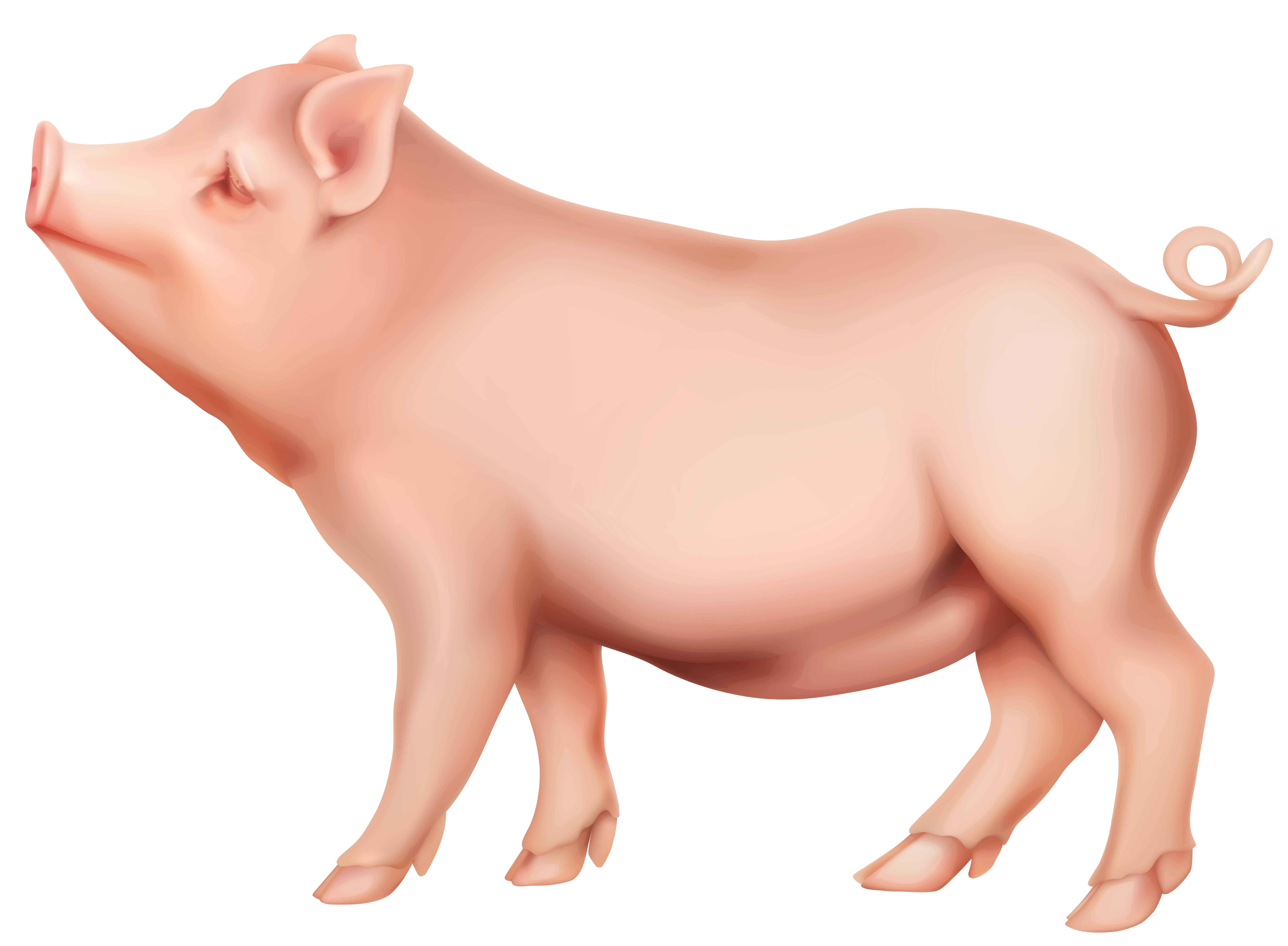 Pig Png Clip Art Image Gallery Yopriceville High Quality Images And