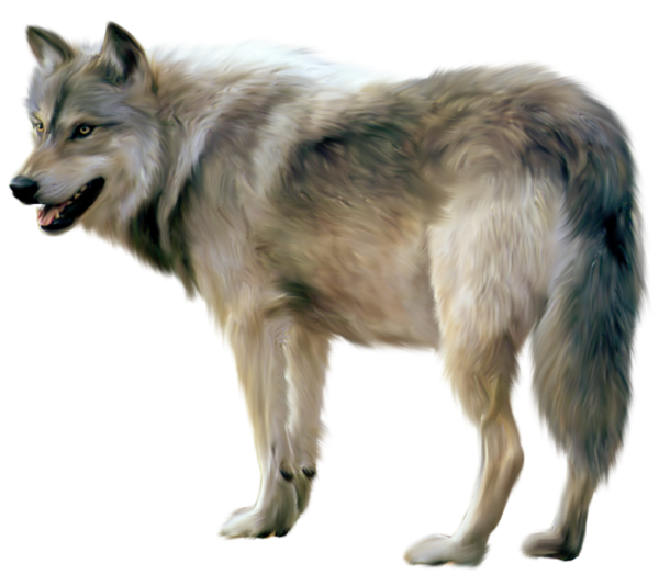 Wolf PNG Clip Art - Best WEB Clipart