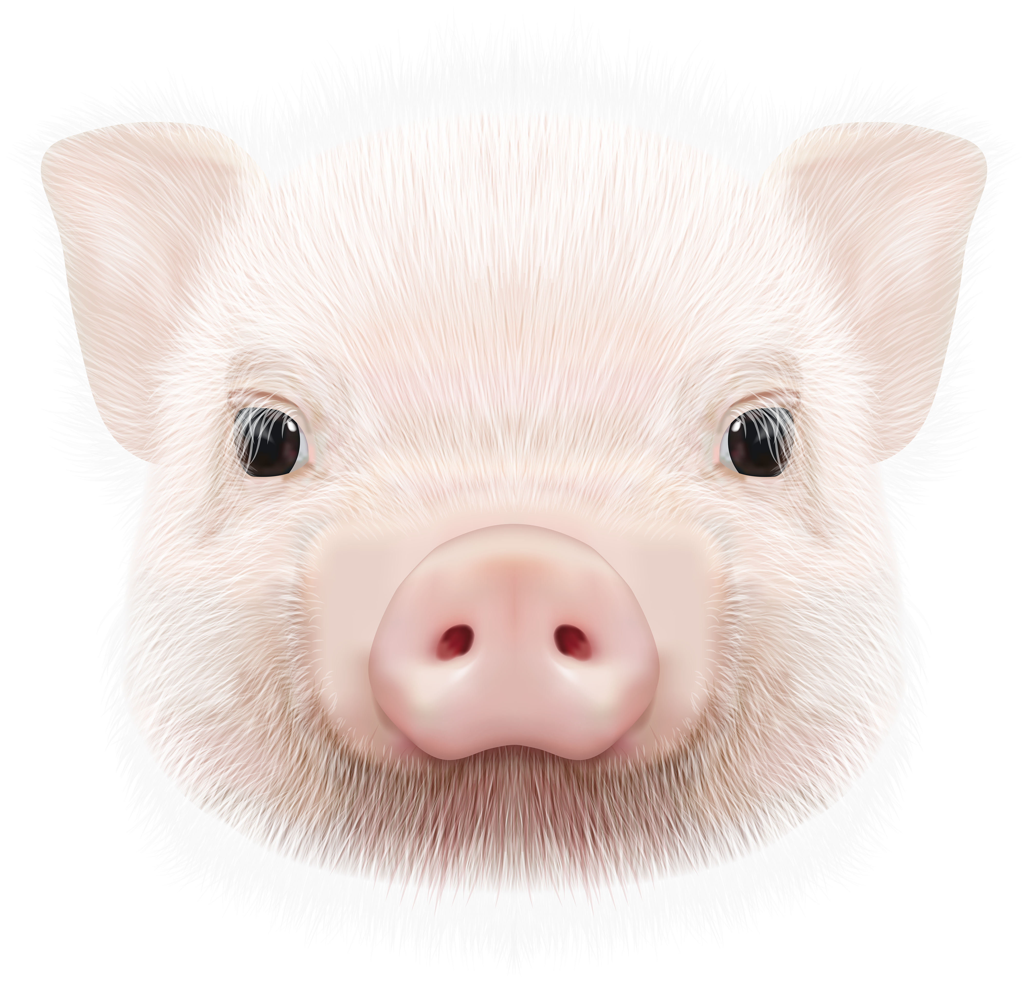 Pig Head Png Clip Art Image Gallery Yopriceville High Quality