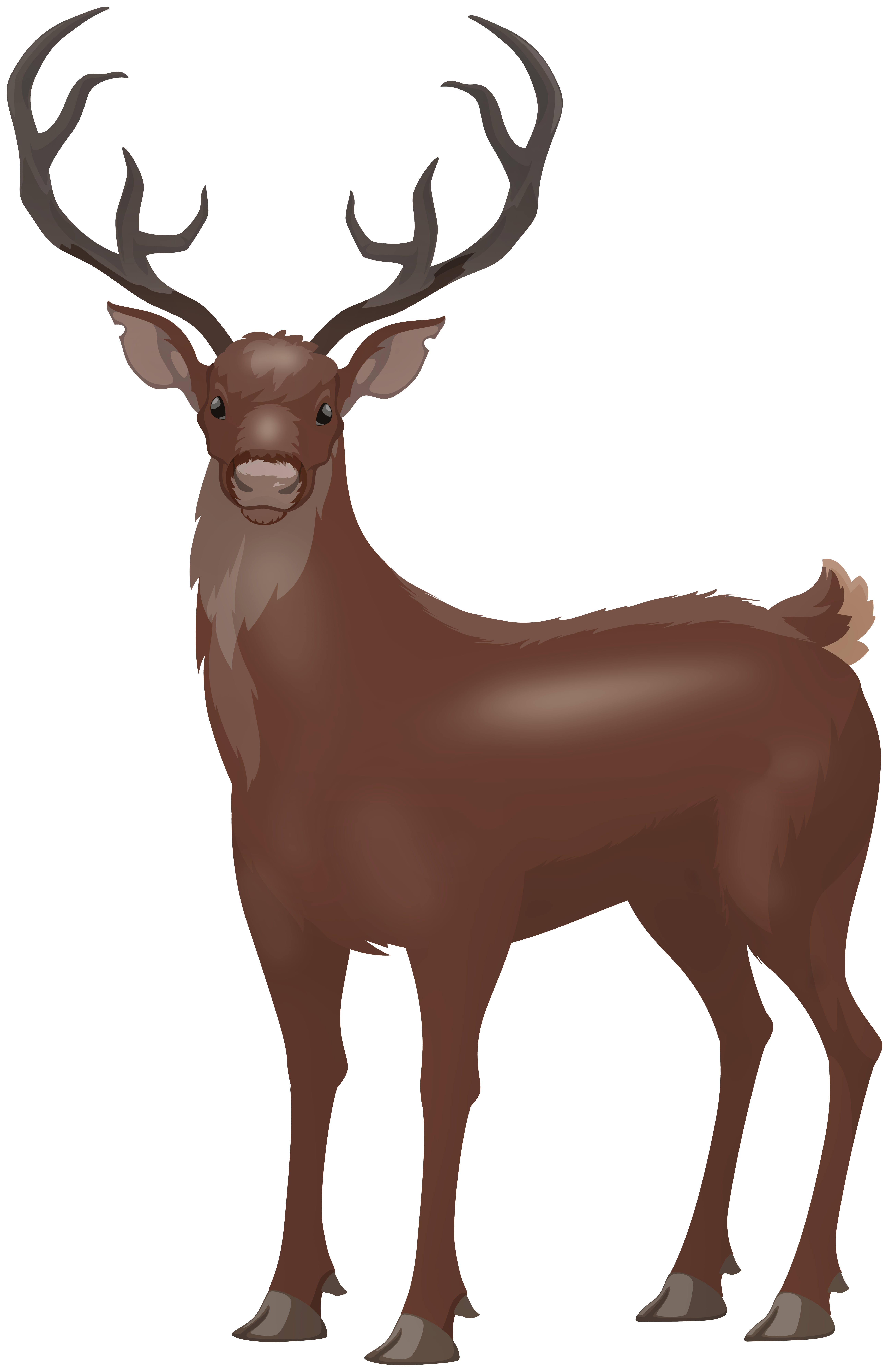 Red Deer Stag Png Clip Art Image Gallery Yopriceville High Quality Free Images And