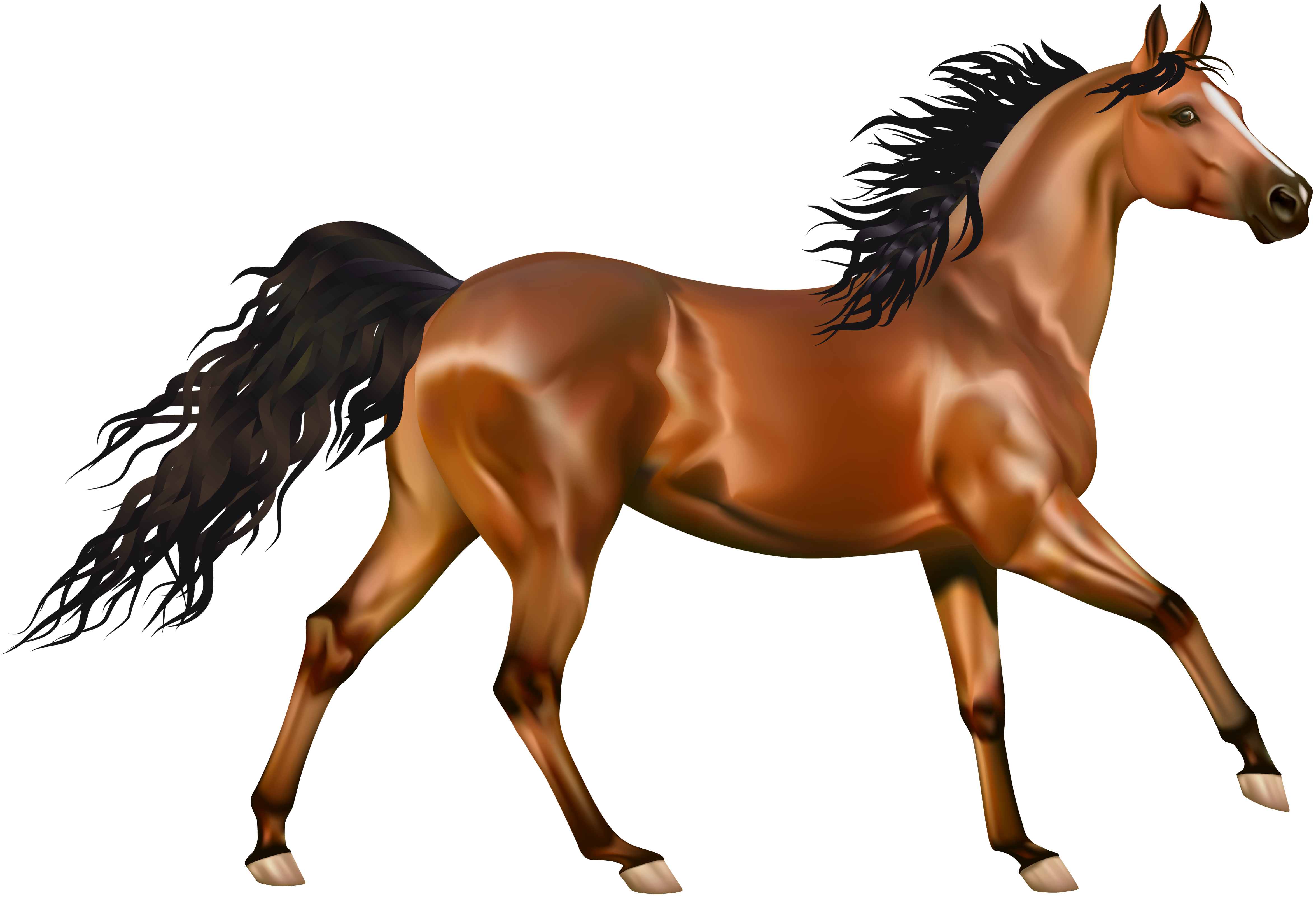 Transparent Brown Horse PNG Clipart​