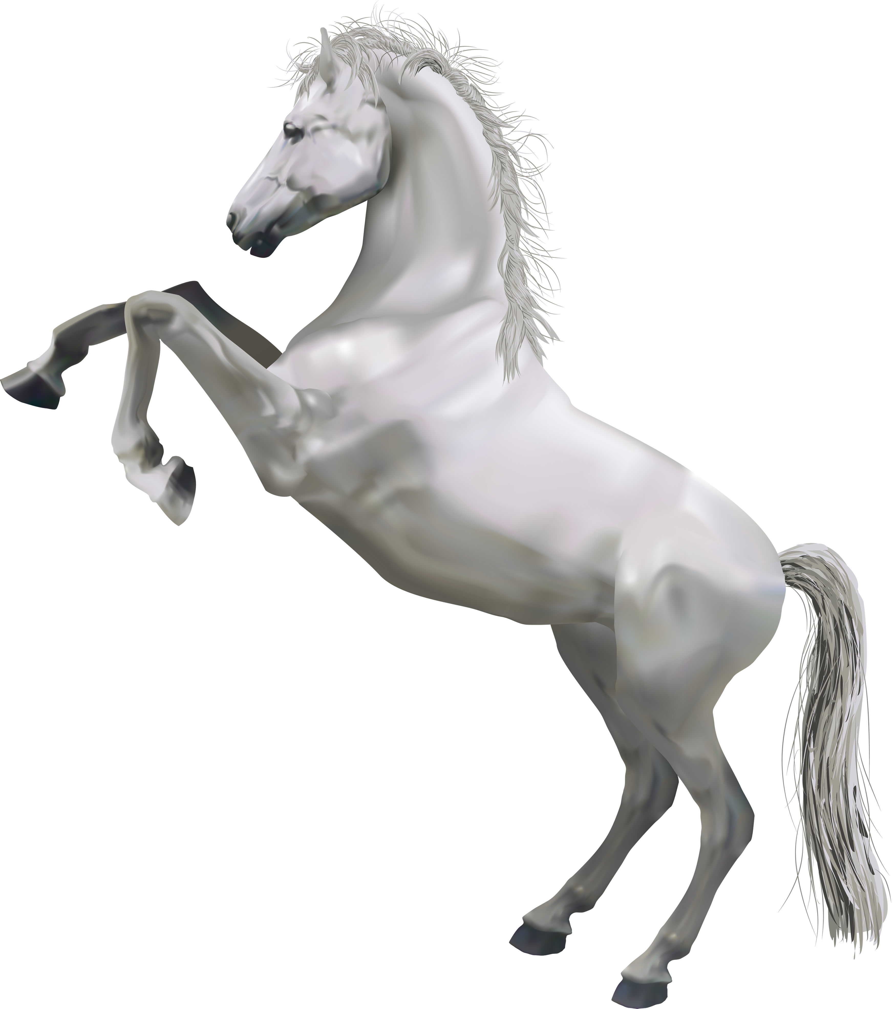 Transparent White Horse Gallery Yopriceville High Quality