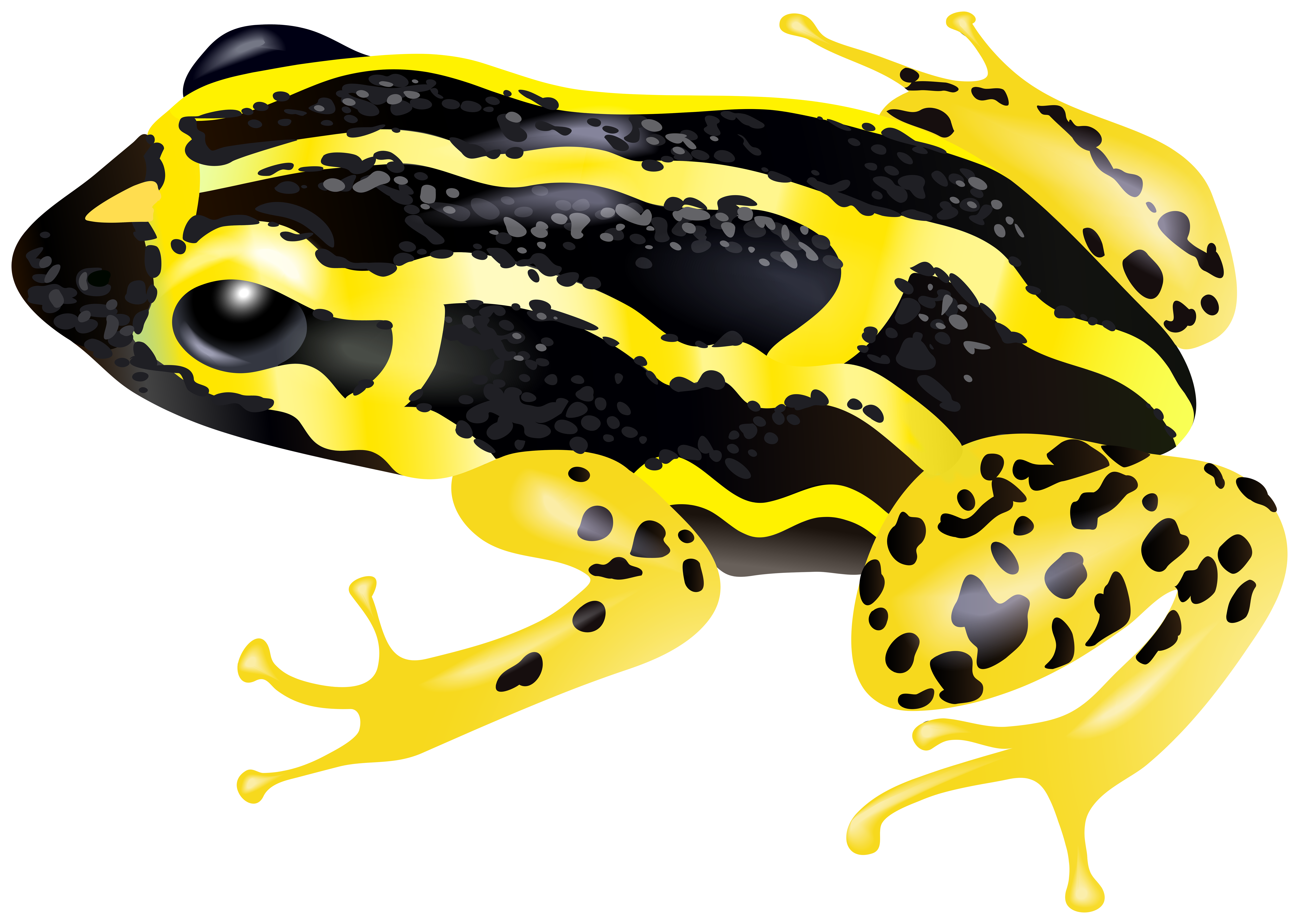 yellow frog cartoon