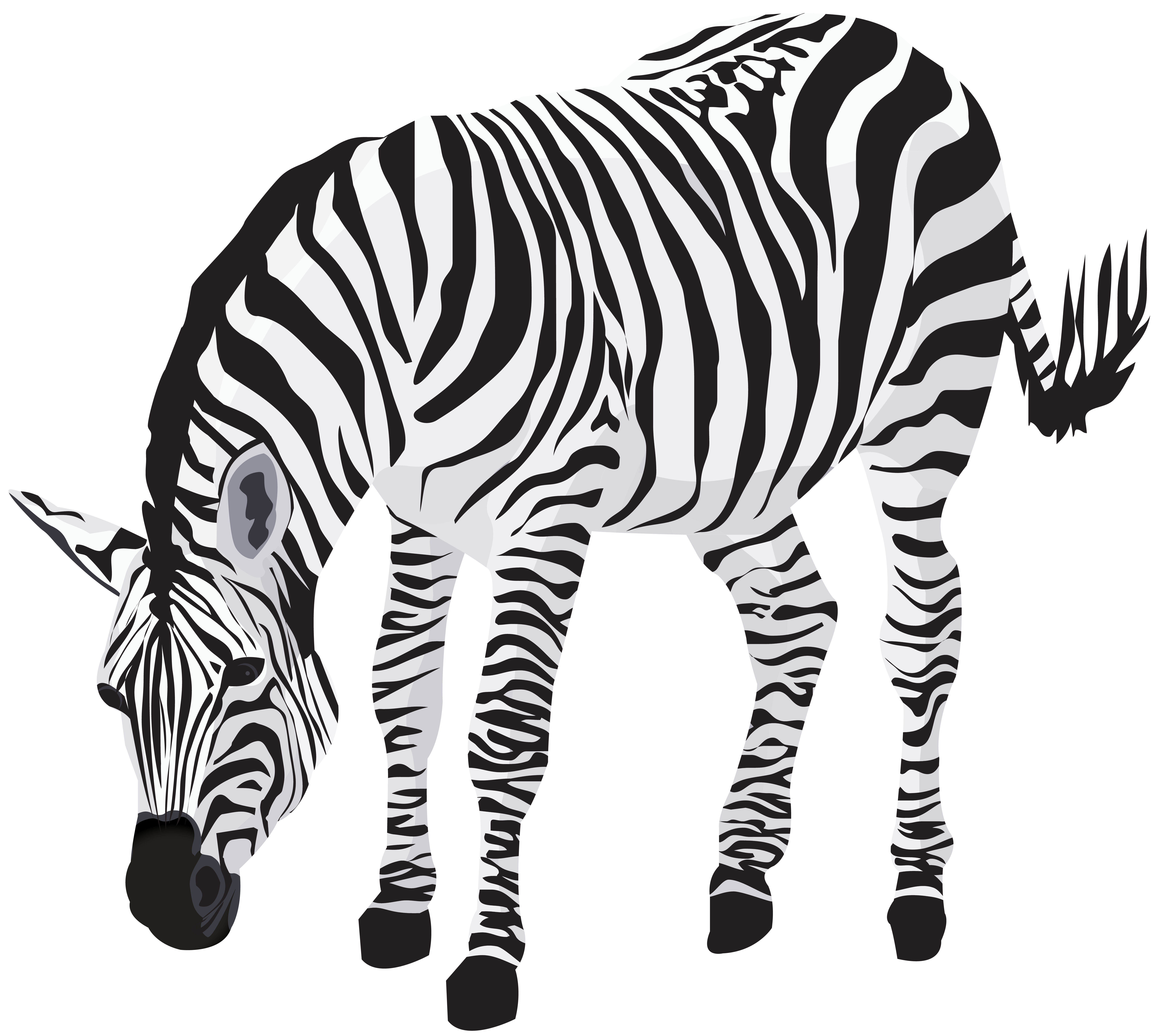 Zebra Clip Art Free