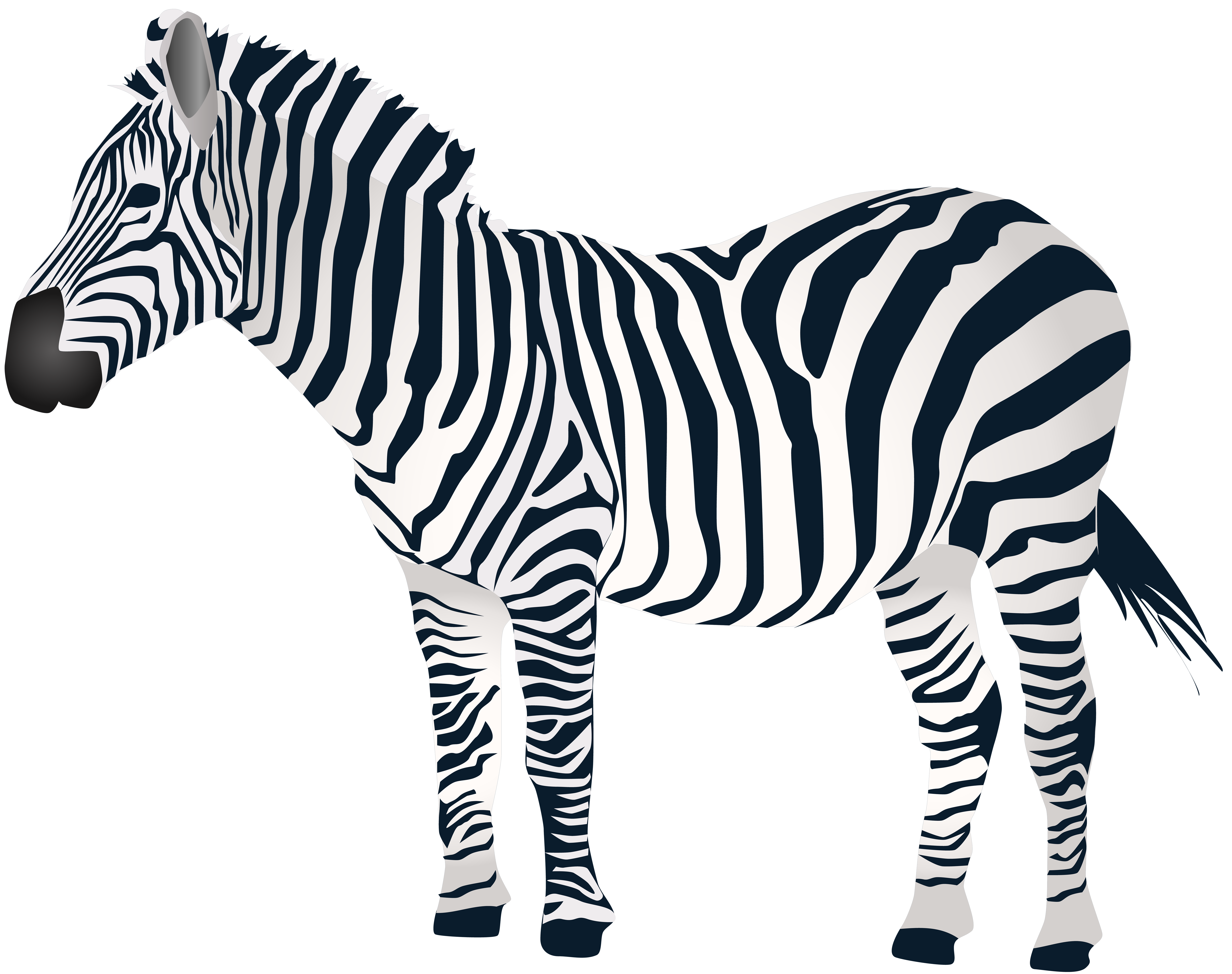 Zebra PNG Clip Art | Gallery Yopriceville - High-Quality Free Images and Transparent PNG Clipart Zebra PNG Clip Art | Gallery Yopriceville - High-Quality Free Images and Transparent PNG Clipart