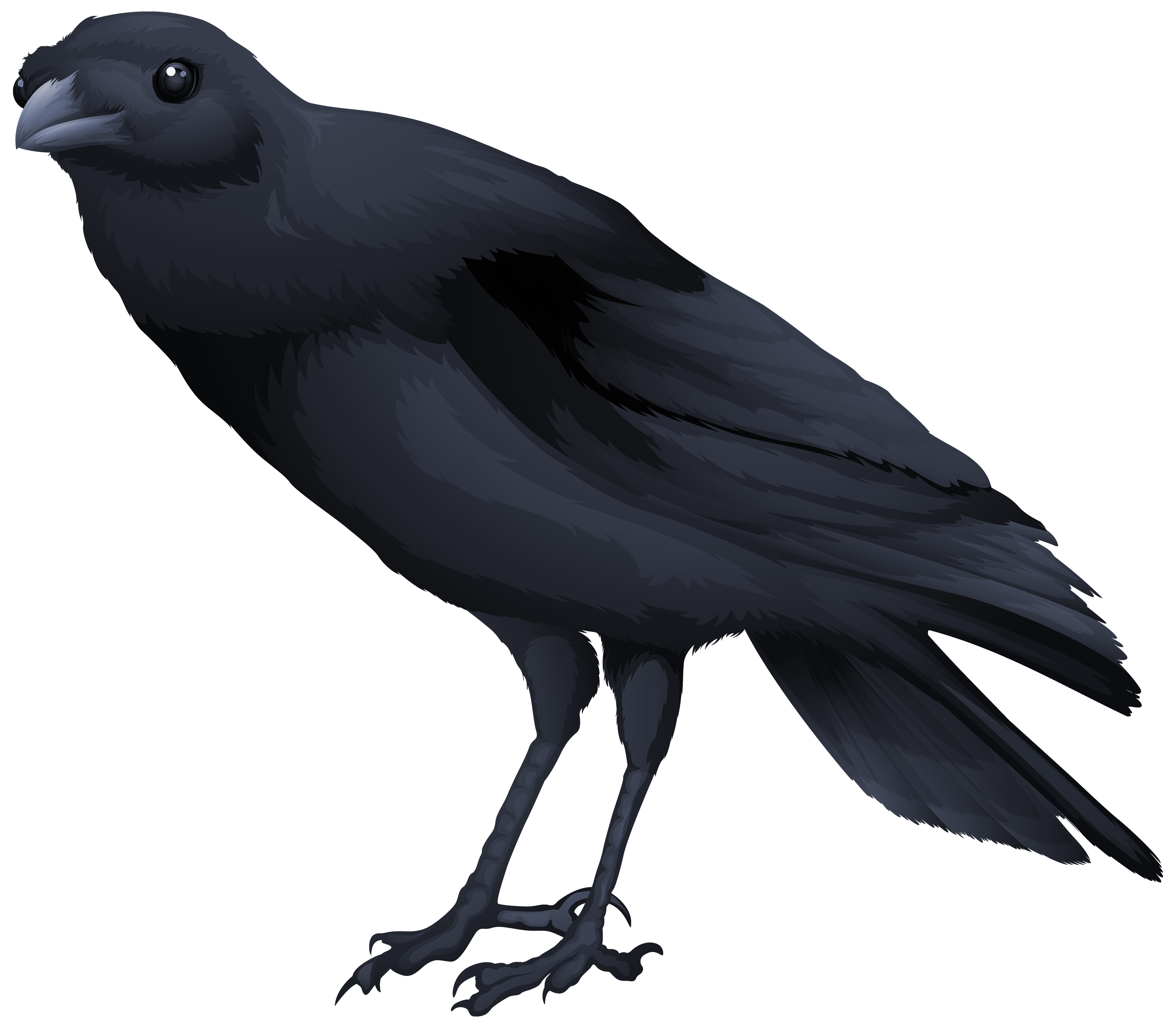 Black Bird PNG Clipart Image | Gallery Yopriceville - High-Quality