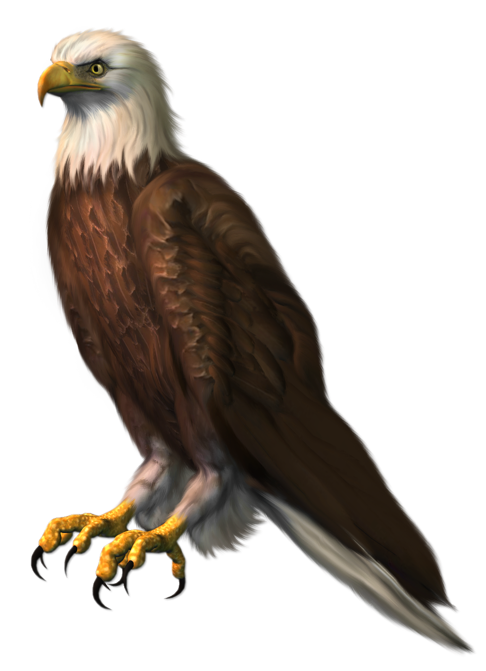 eagle transparent png clipart picture gallery eagle transparent png clipart picture gallery