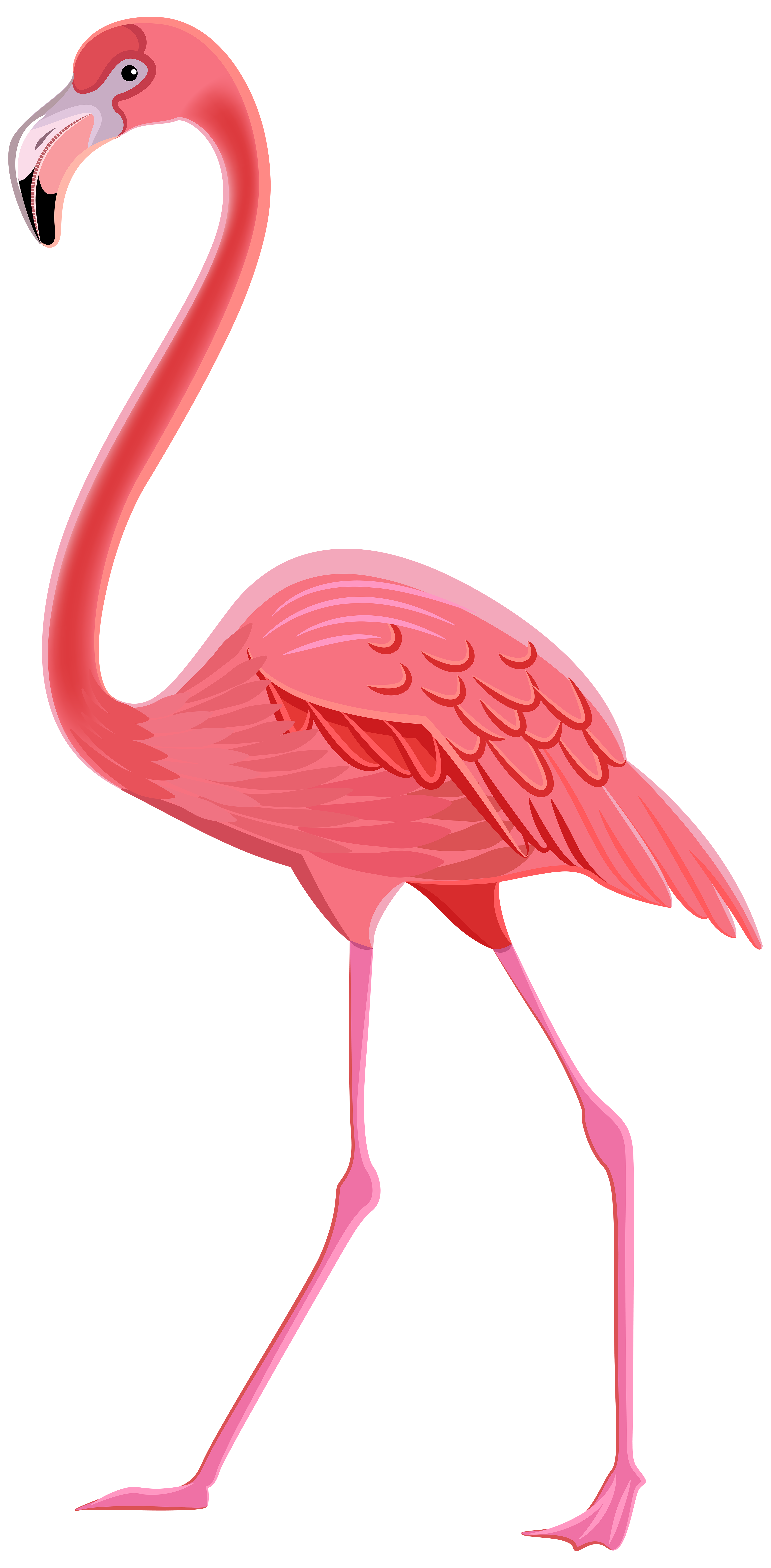 Flamingo_PNG_Transparent_Clip_Art_Image