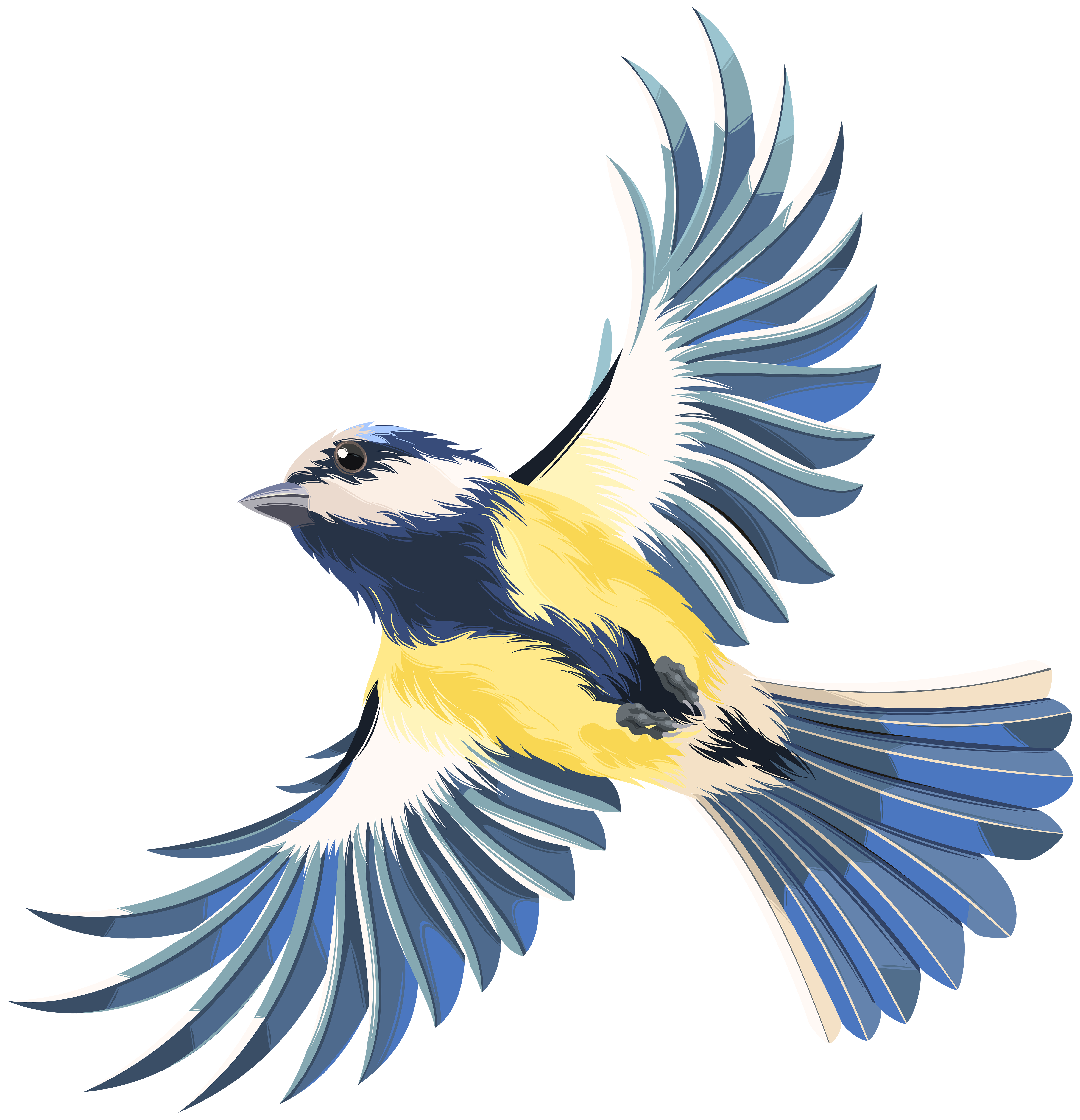 Flying Bird Transparent PNG Clip Art Image  Gallery 