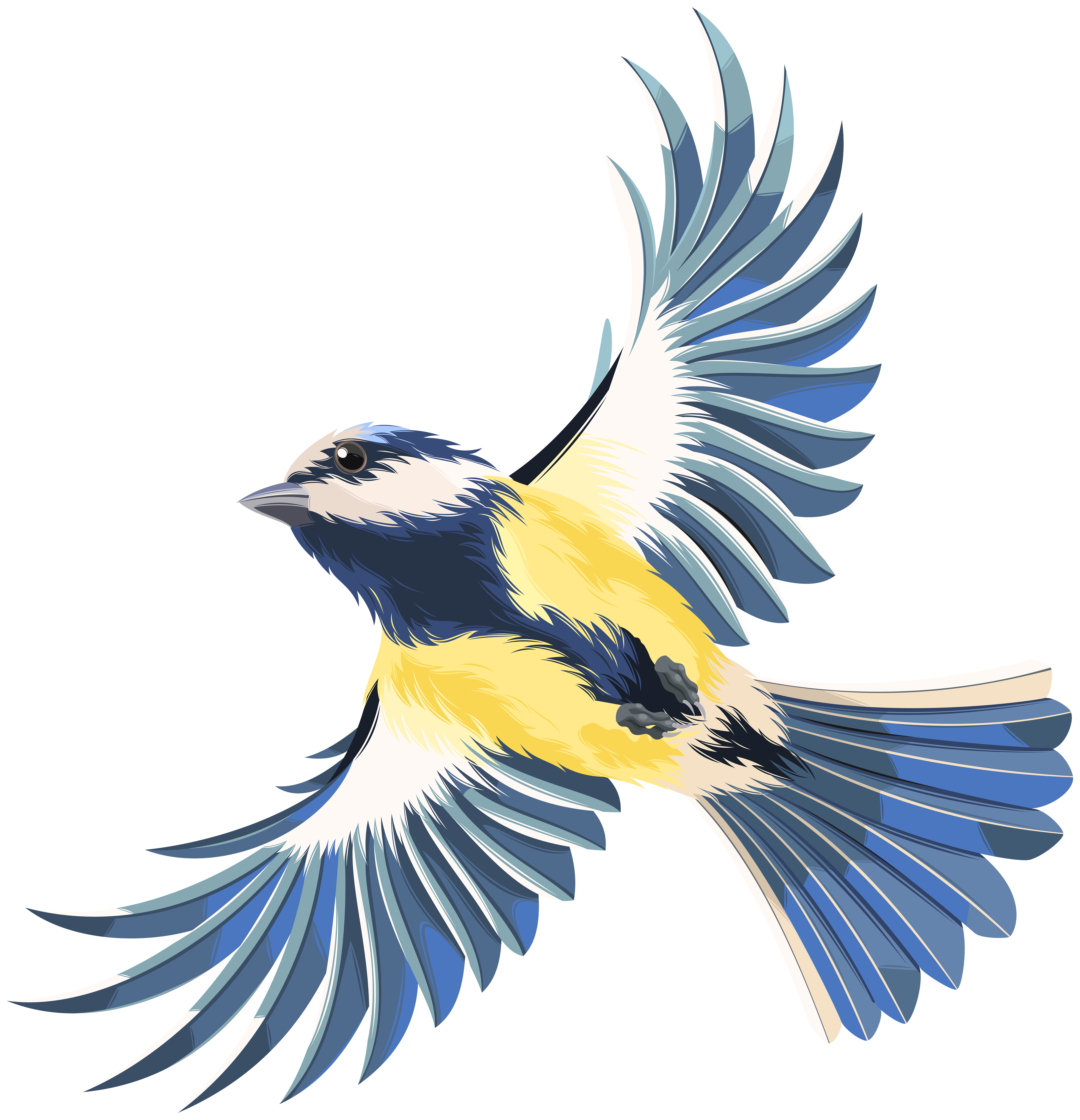 flying birds clipart png