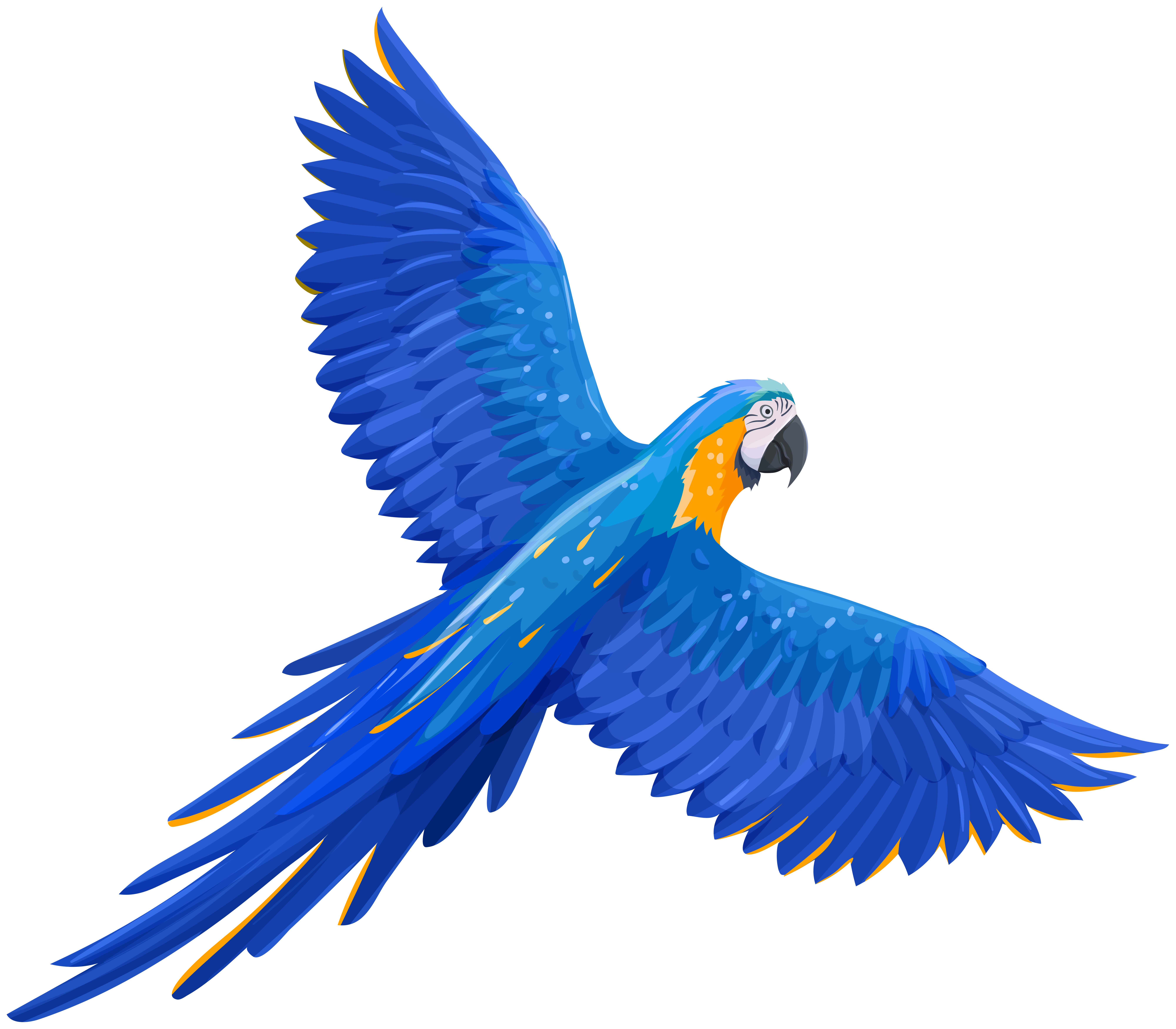 Flying Blue Parrot Png Clipart Gallery Yopriceville High Quality