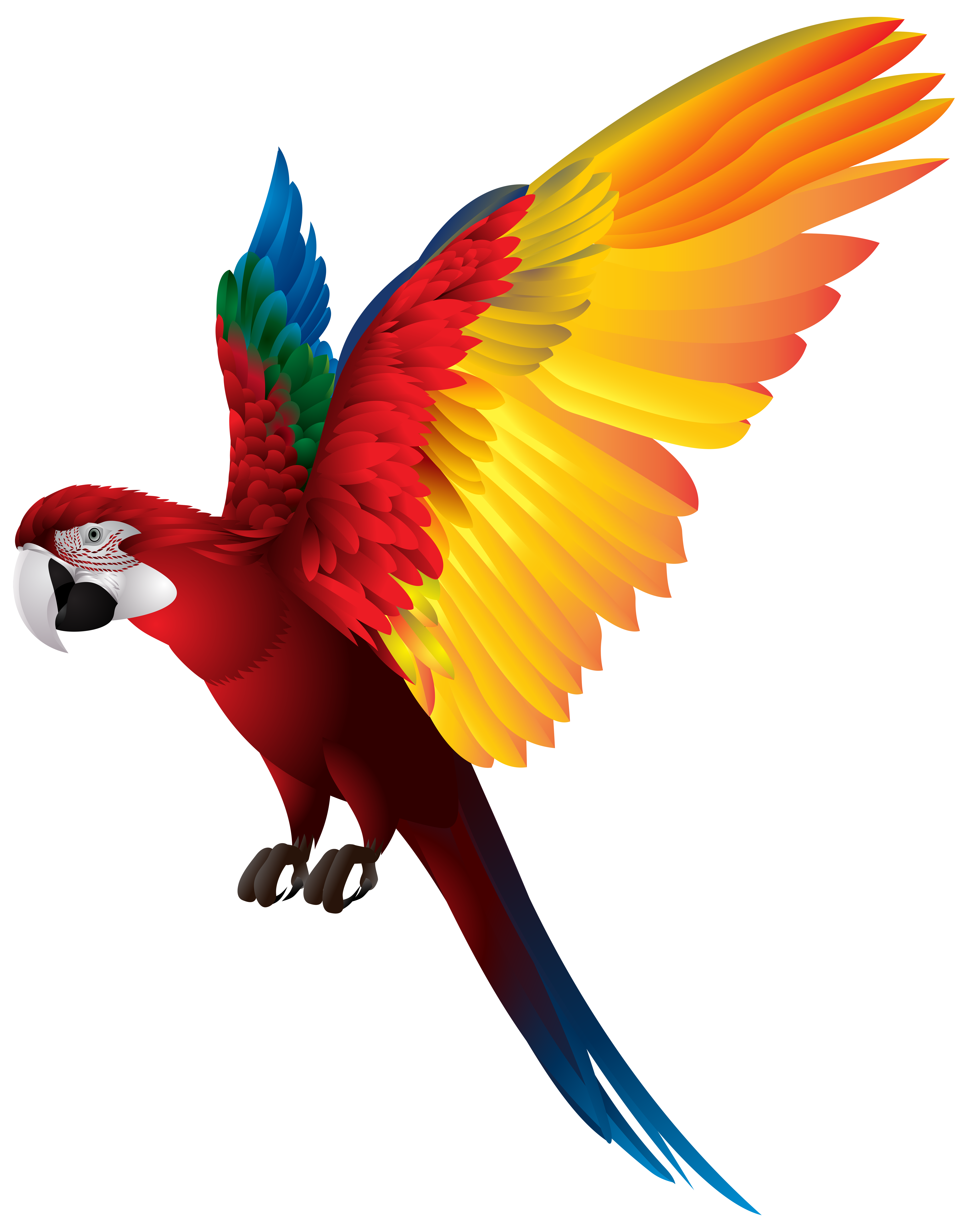 Parrot Png Transparent Clip Art Image Gallery Yopriceville High Quality Images And Transparent Png Free Clipart