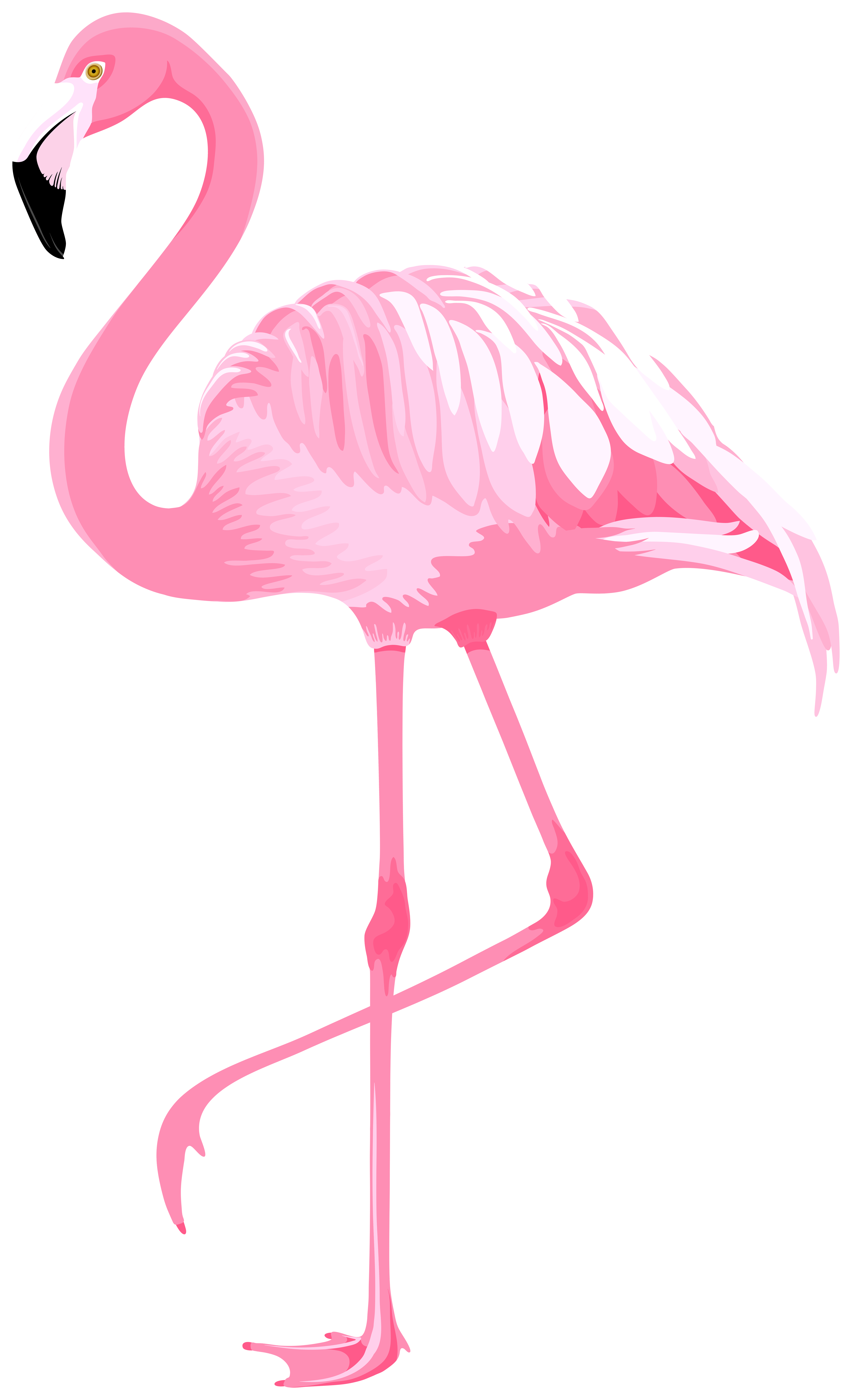 Pink Flamingo PNG Clipart​  Gallery Yopriceville - High-Quality Free  Images and Transparent PNG Clipart