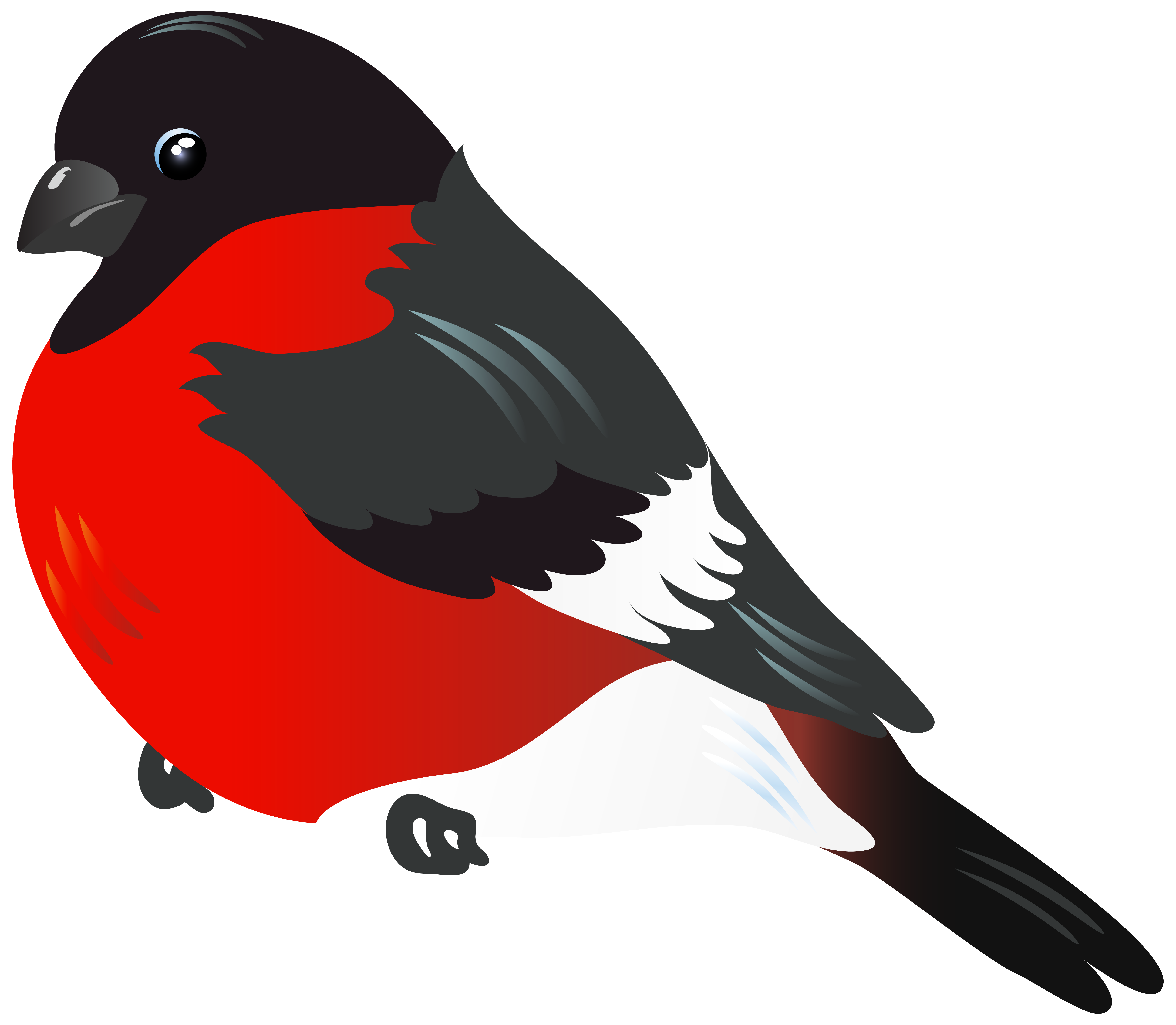 Red Robin Clipart