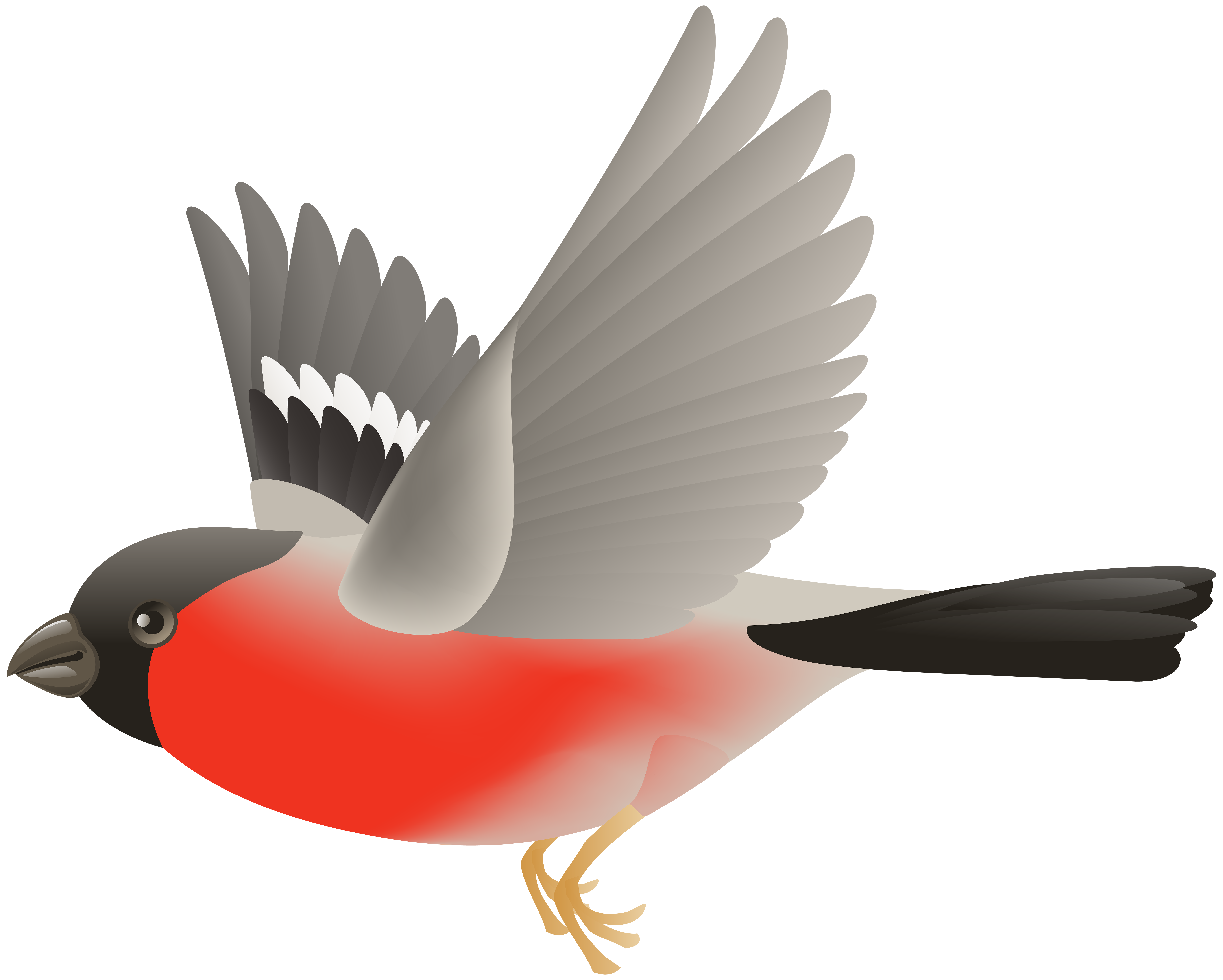 Red Flying Bird Transparent Clip Art Image | Gallery Yopriceville